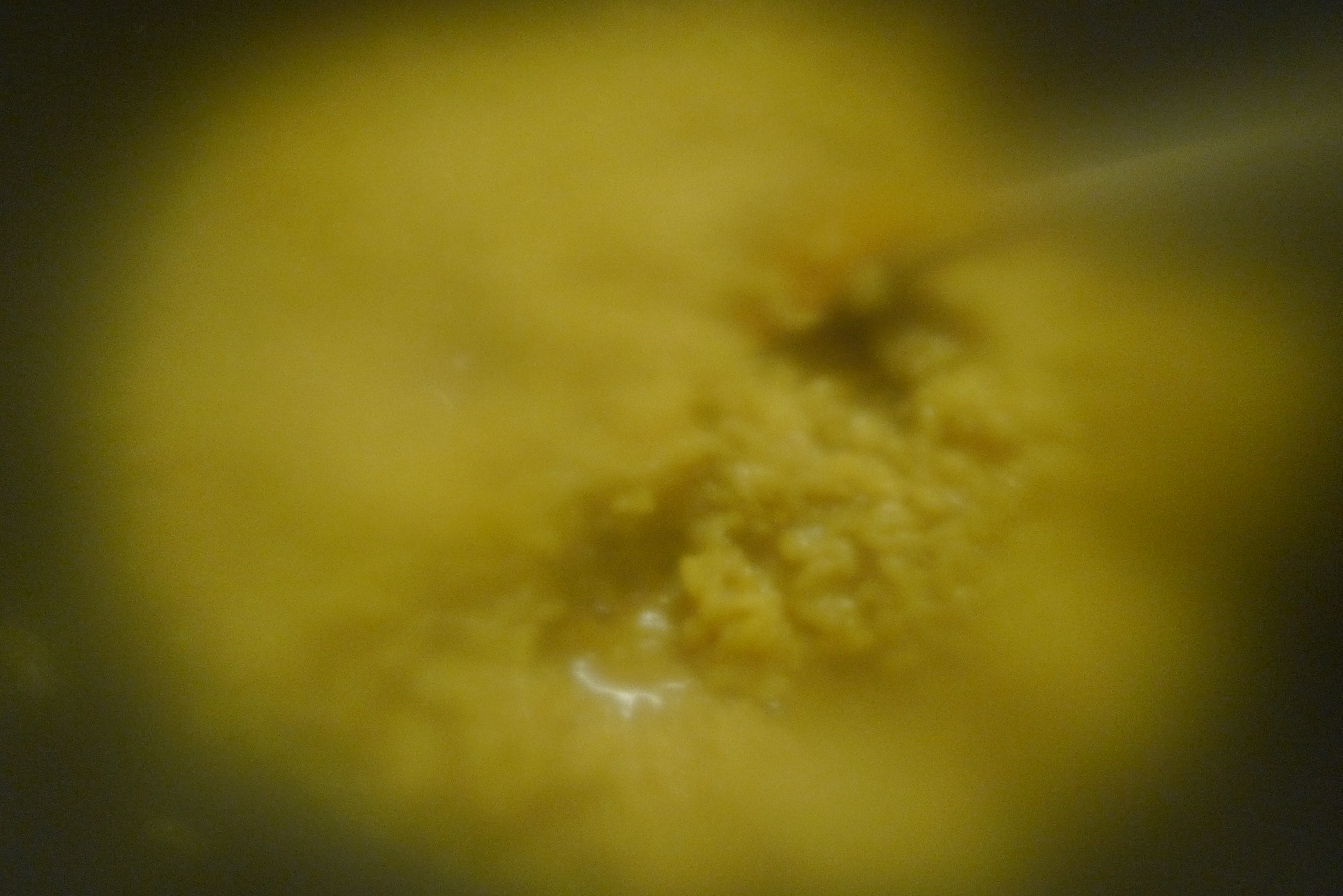 Pilzrisotto-Gurkensalat - 28.9.2014   (4)