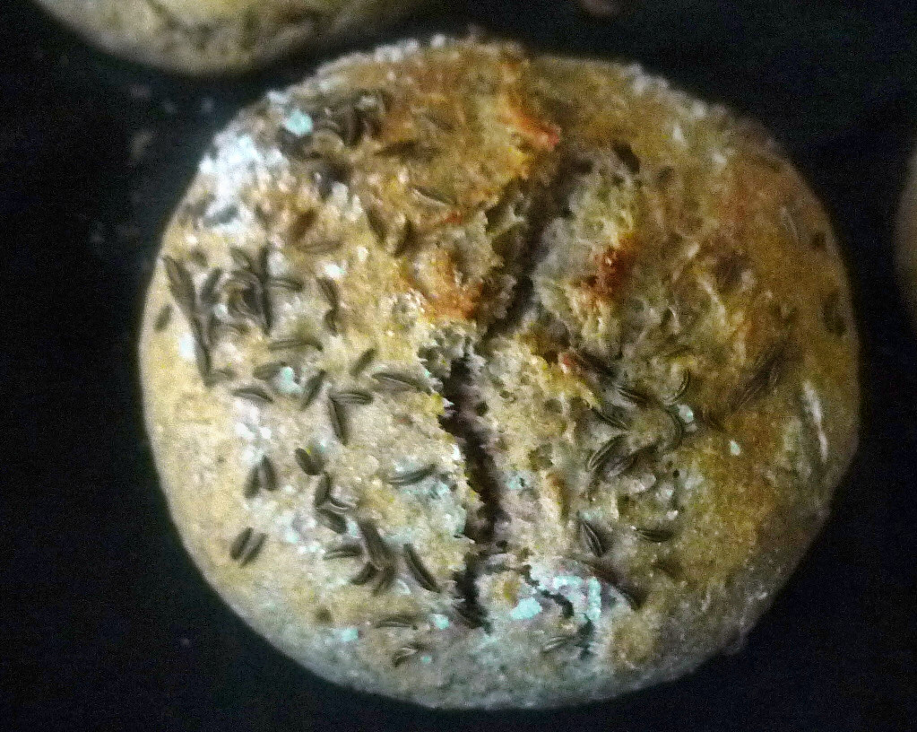 Dinkelbrötchen-5.10.14 - (7)