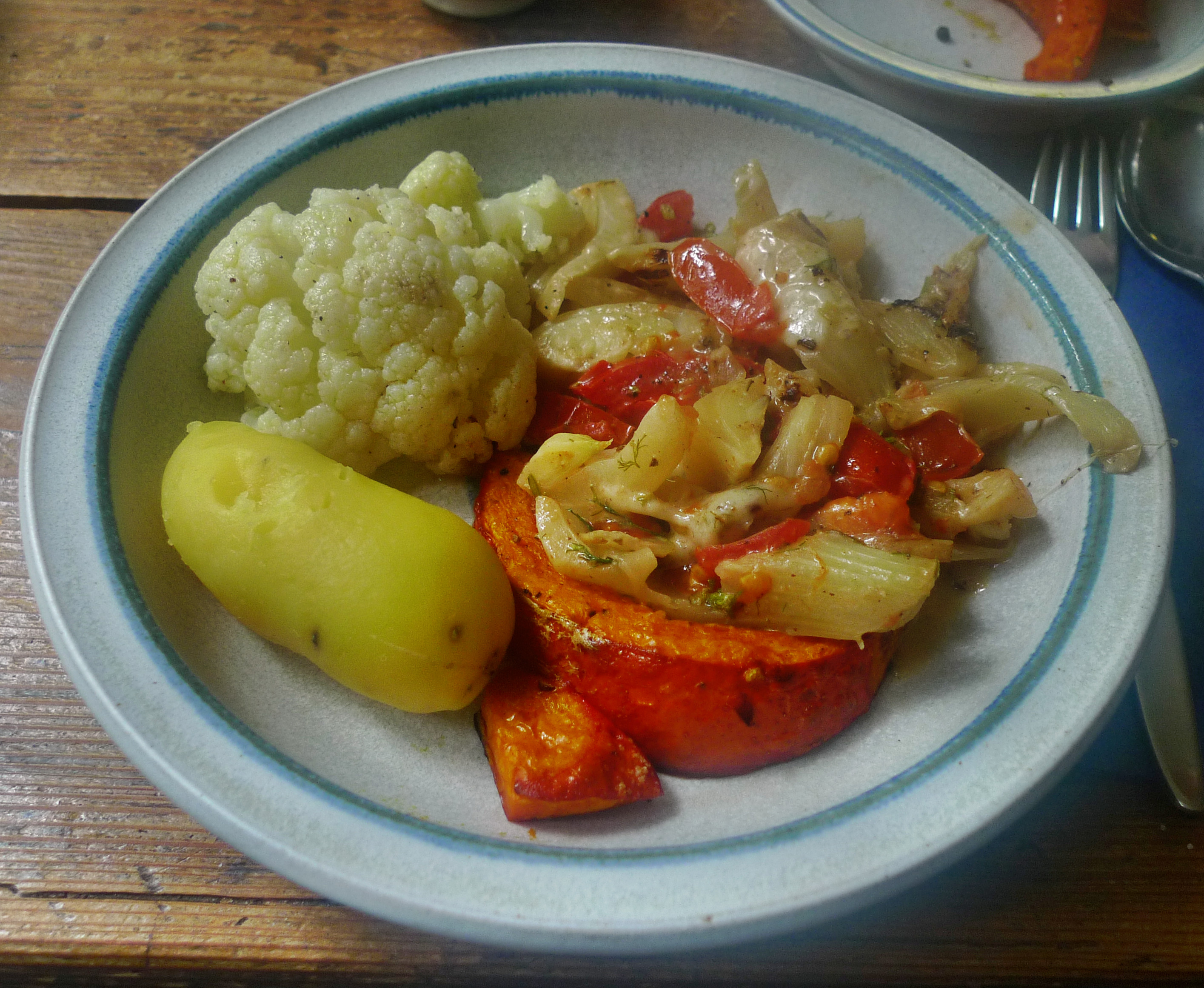 Fenchelgemüse-Hokkaido-Blumenkohlsalat-Kartoffeln- 22.10.14   (19)