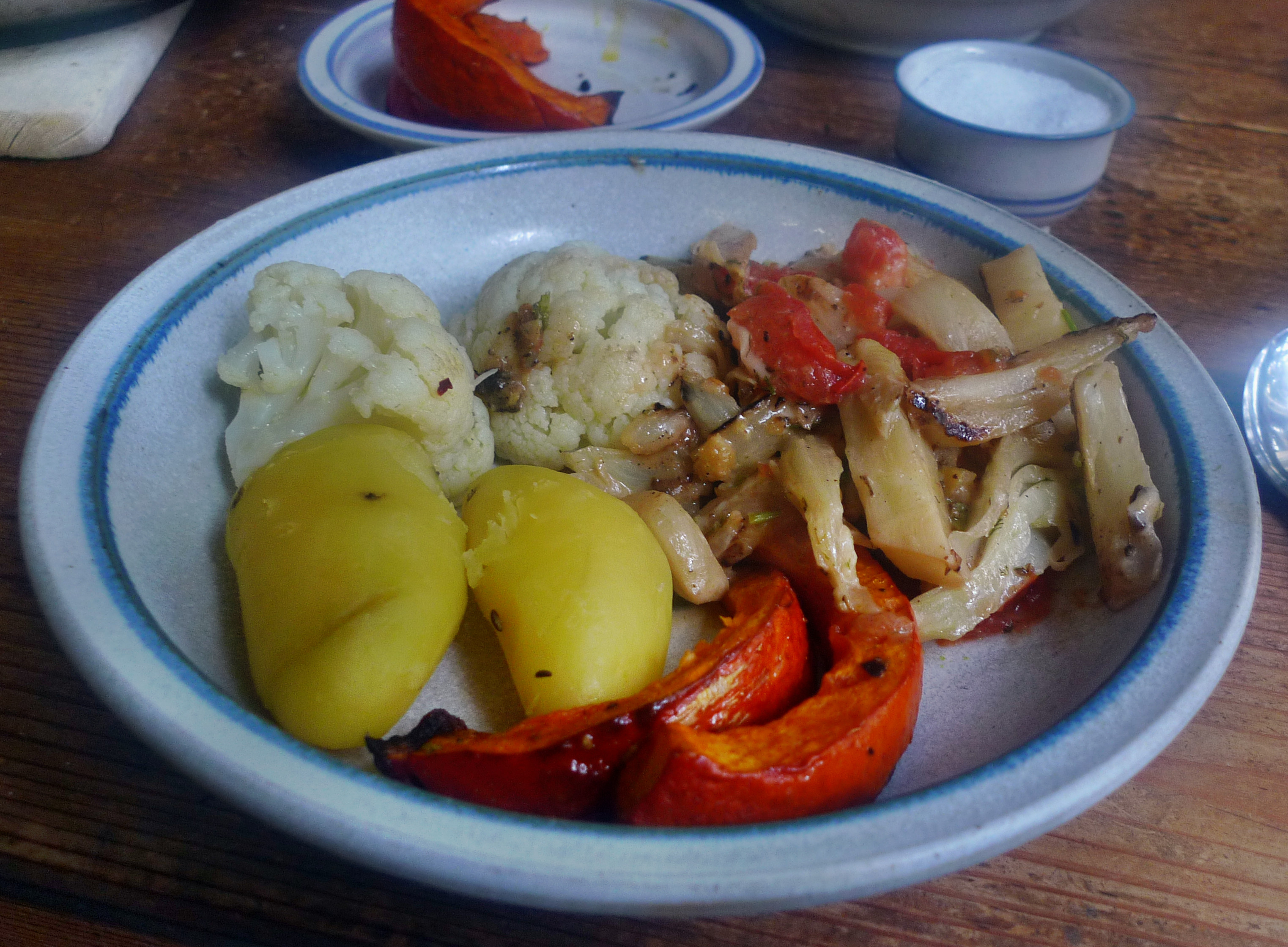 Fenchelgemüse-Hokkaido-Blumenkohlsalat-Kartoffeln- 22.10.14 (22)