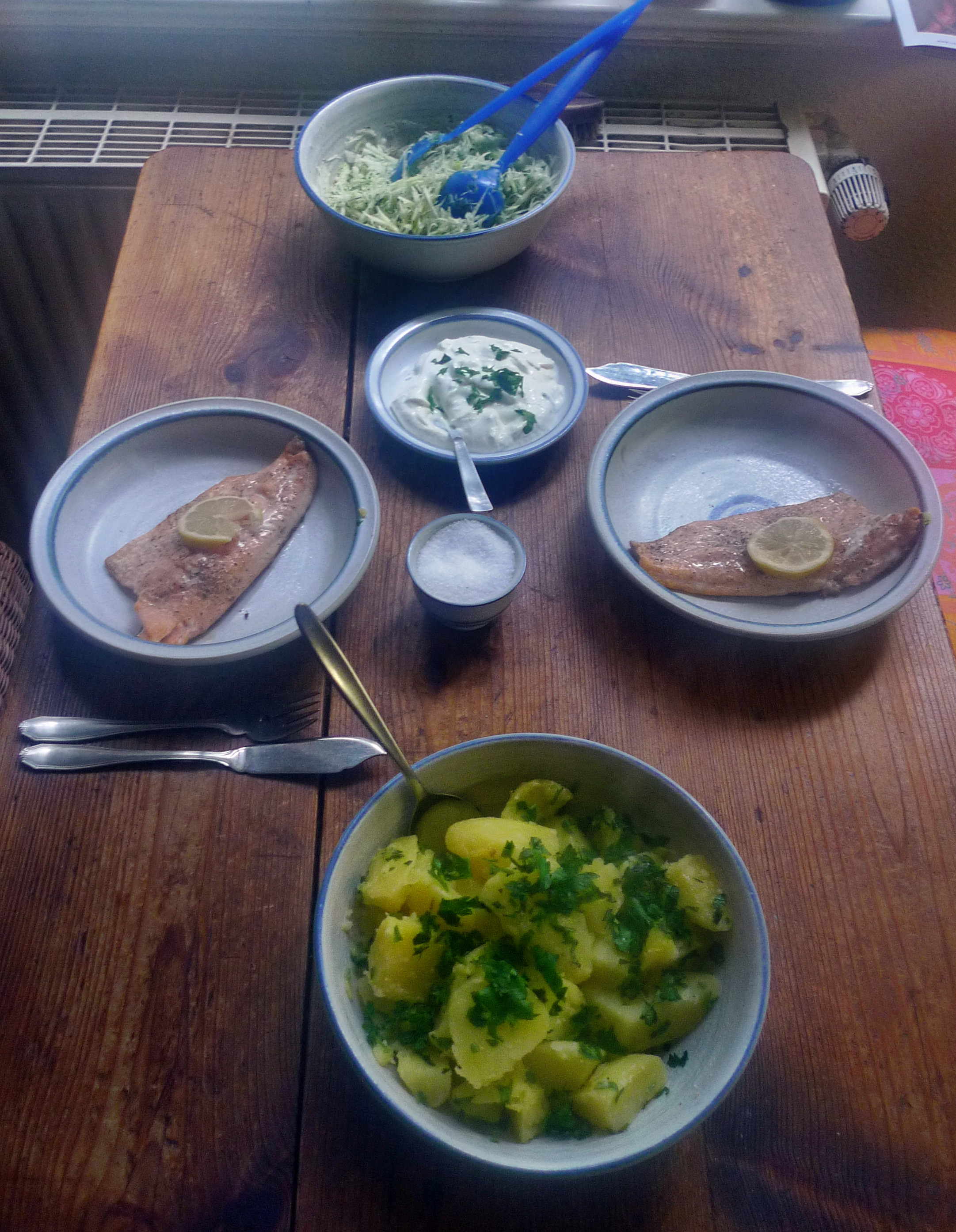 Lachsforelle,Kohlrabisalat,Kartoffel- 23.10.14   (4)