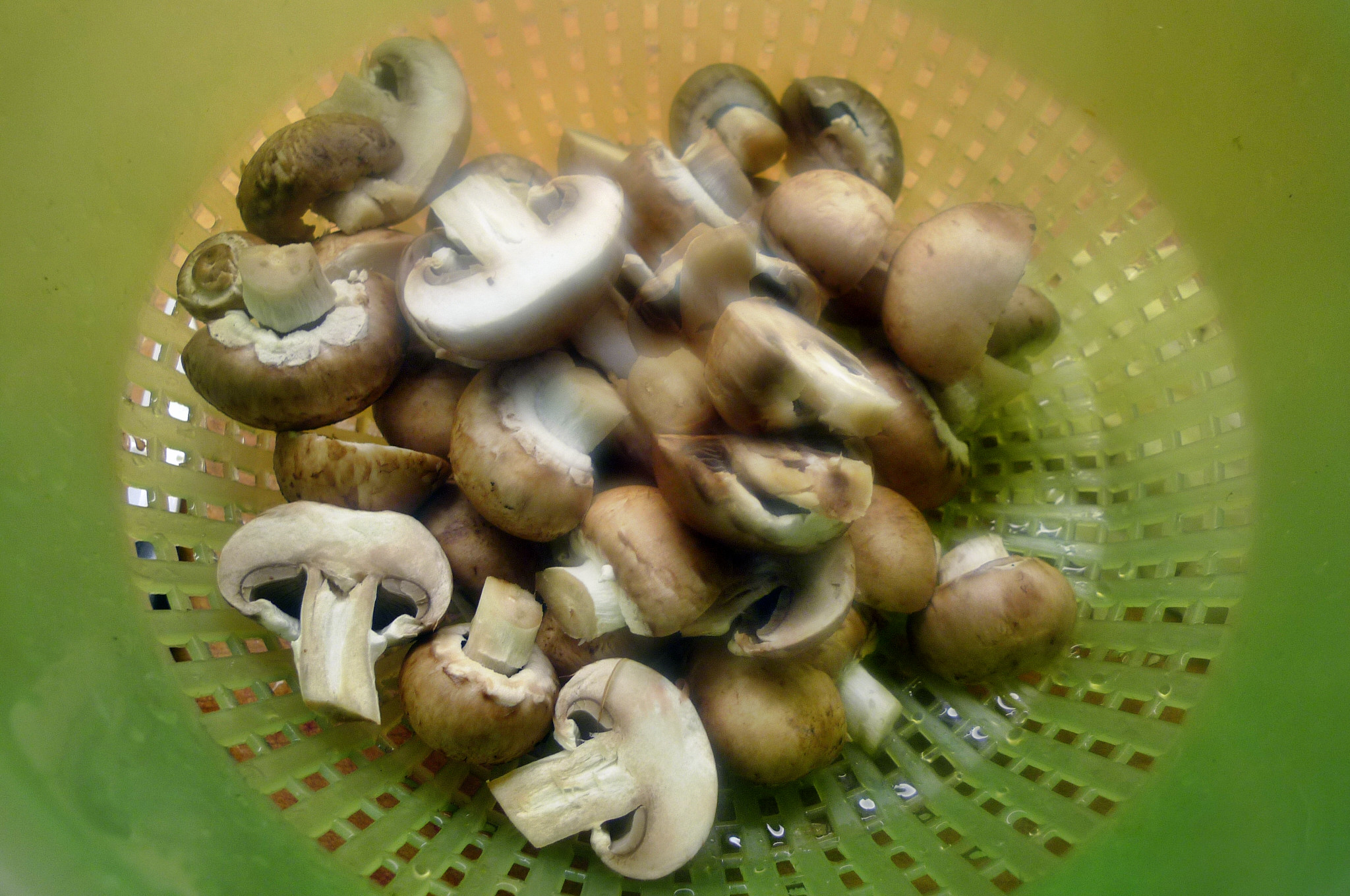 Ratatouille-Joghurtsoße,Pilze,Kartoffeln.4.10.14   (12)