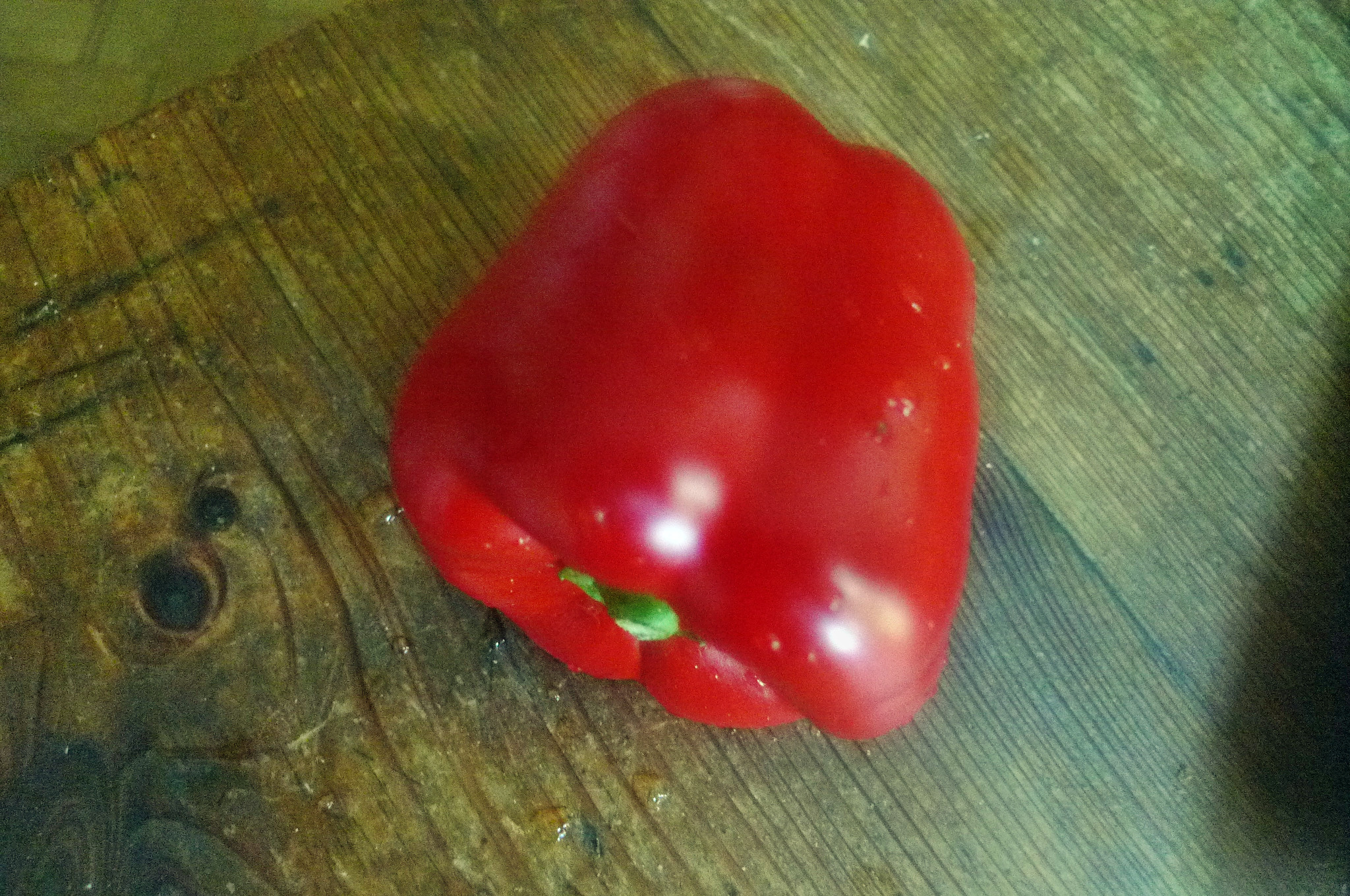 Ratatouille-Joghurtsoße,Pilze,Kartoffeln.4.10.14   (1c)