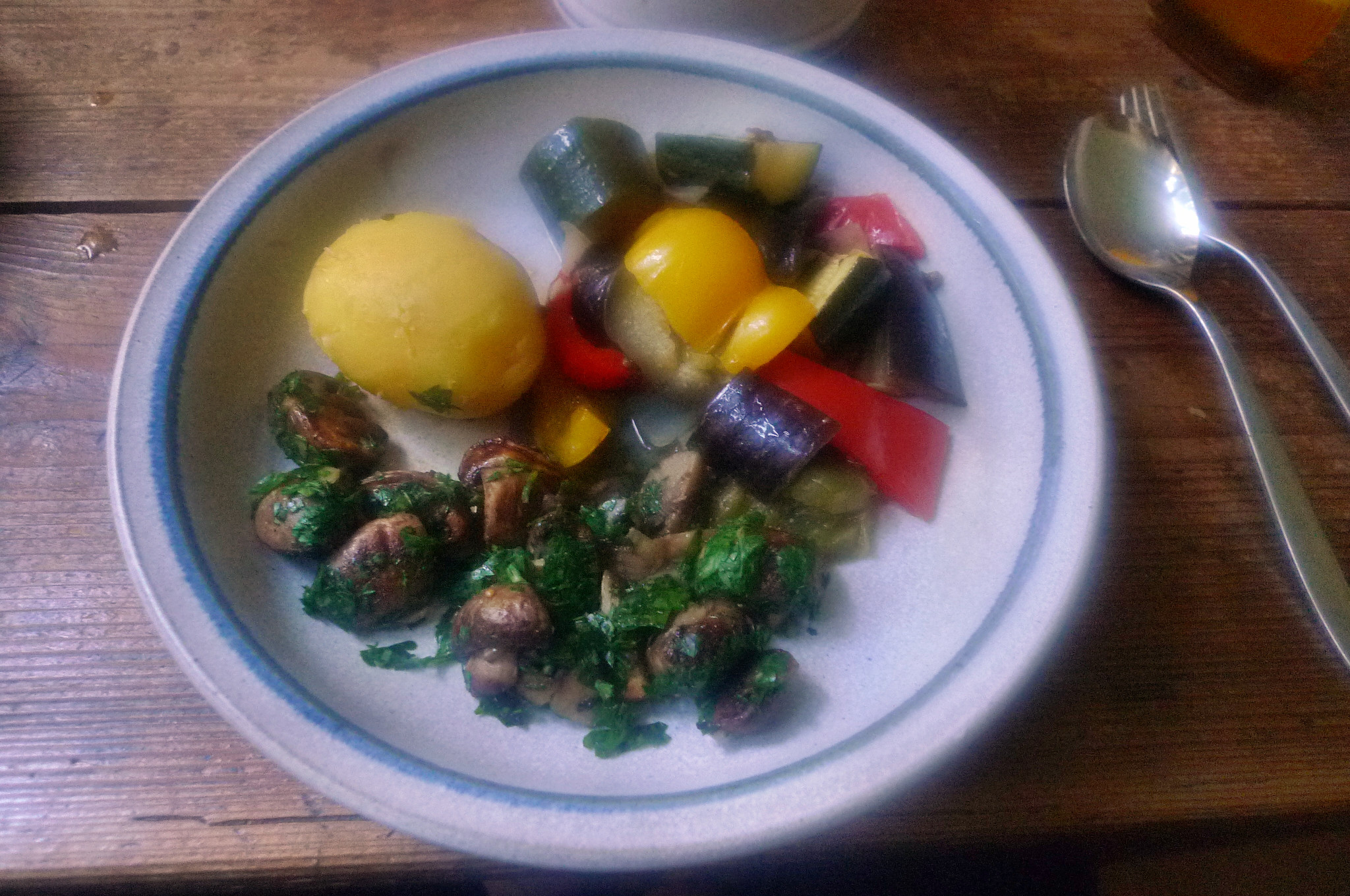 Ratatouille-Joghurtsoße,Pilze,Kartoffeln.4.10.14   (21)