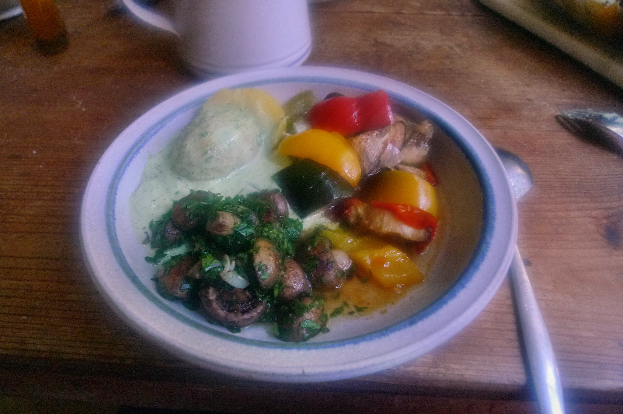 Ratatouille-Joghurtsoße,Pilze,Kartoffeln.4.10.14   (22)