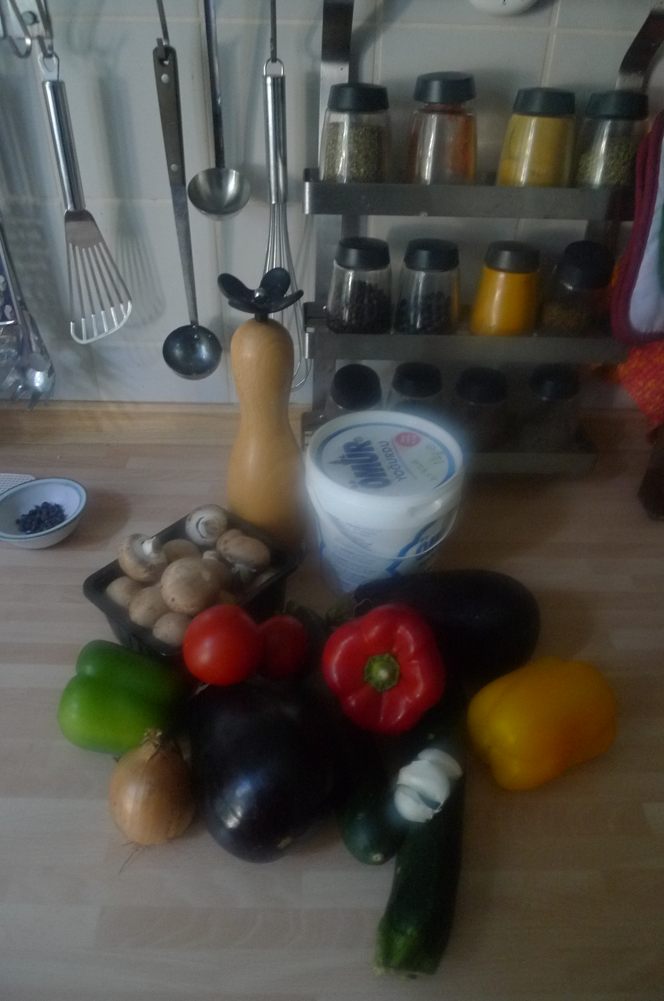 Ratatouille-Joghurtsoße,Pilze,Kartoffeln.4.10.14   (3)
