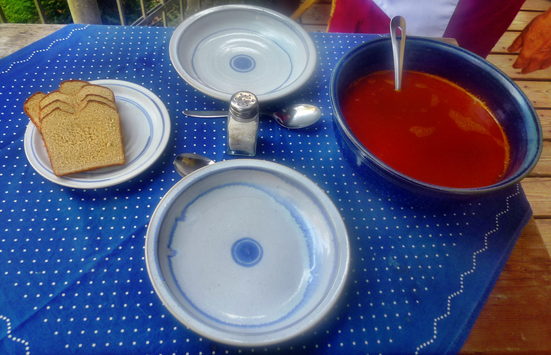 Tomatensuppe-3.10.14   (6)