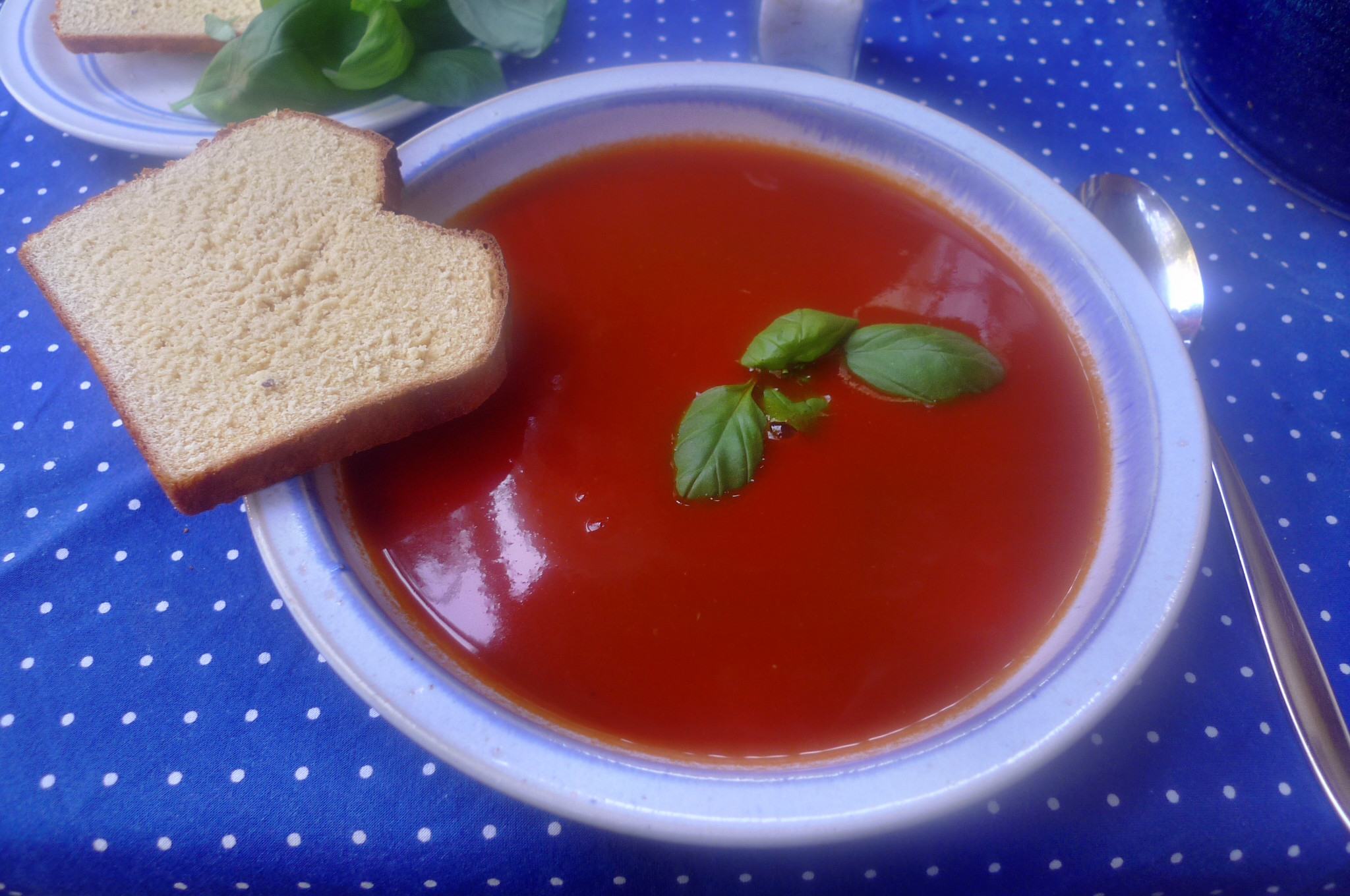 Tomatensuppe-3.10.14   (7)
