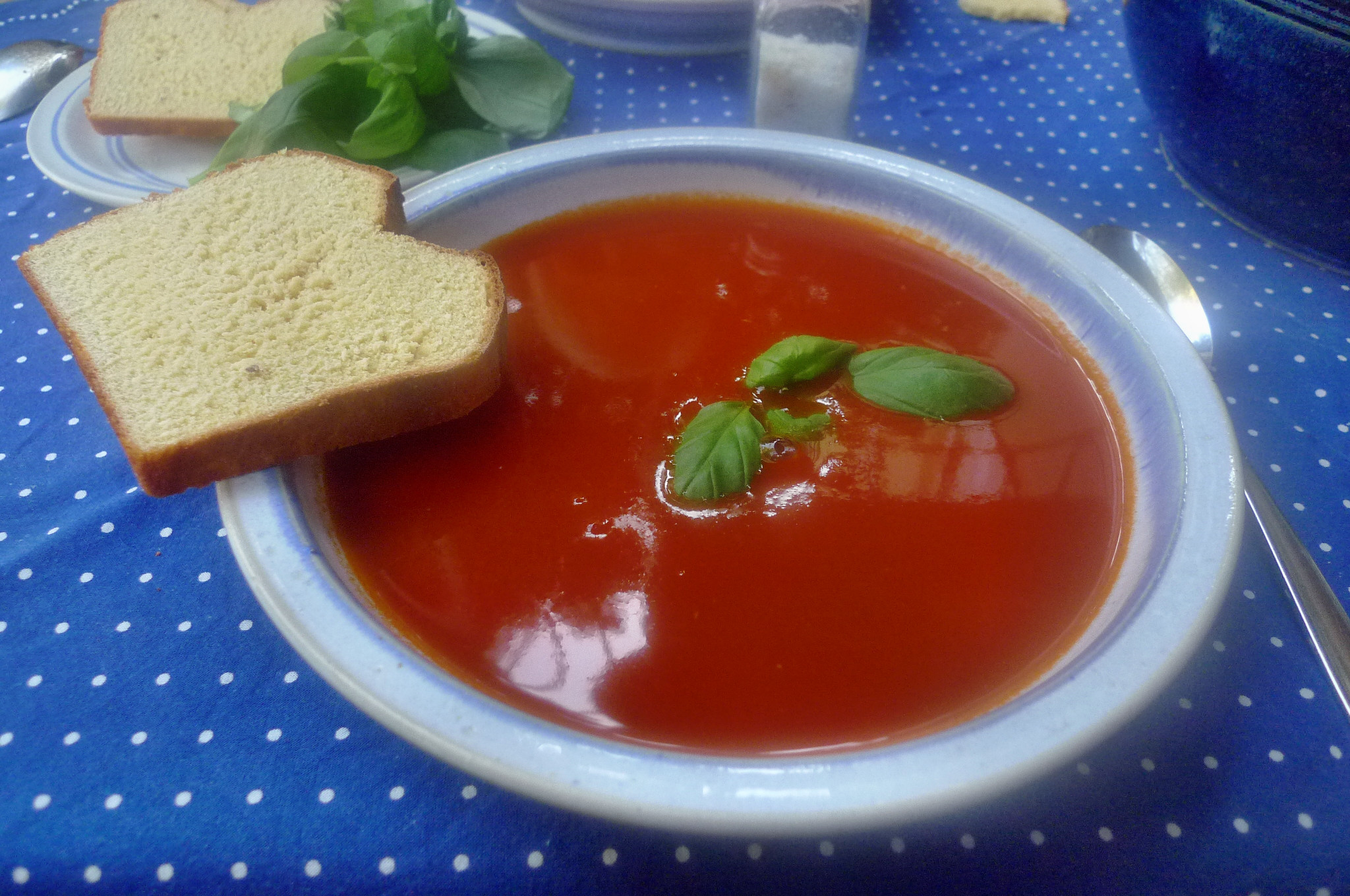 Tomatensuppe-3.10.14   (8)