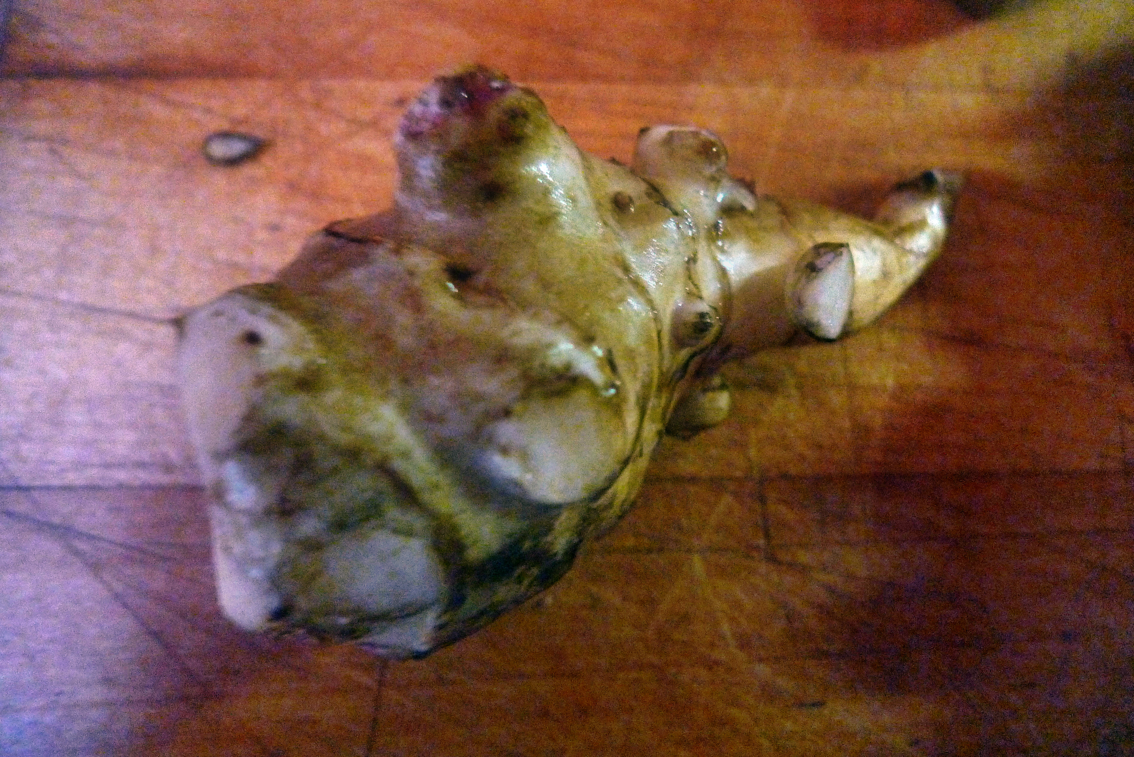 Topinambur-Kohlrabisalat-Gebratene Tomaten-Lachs - 23.10.14   (7)