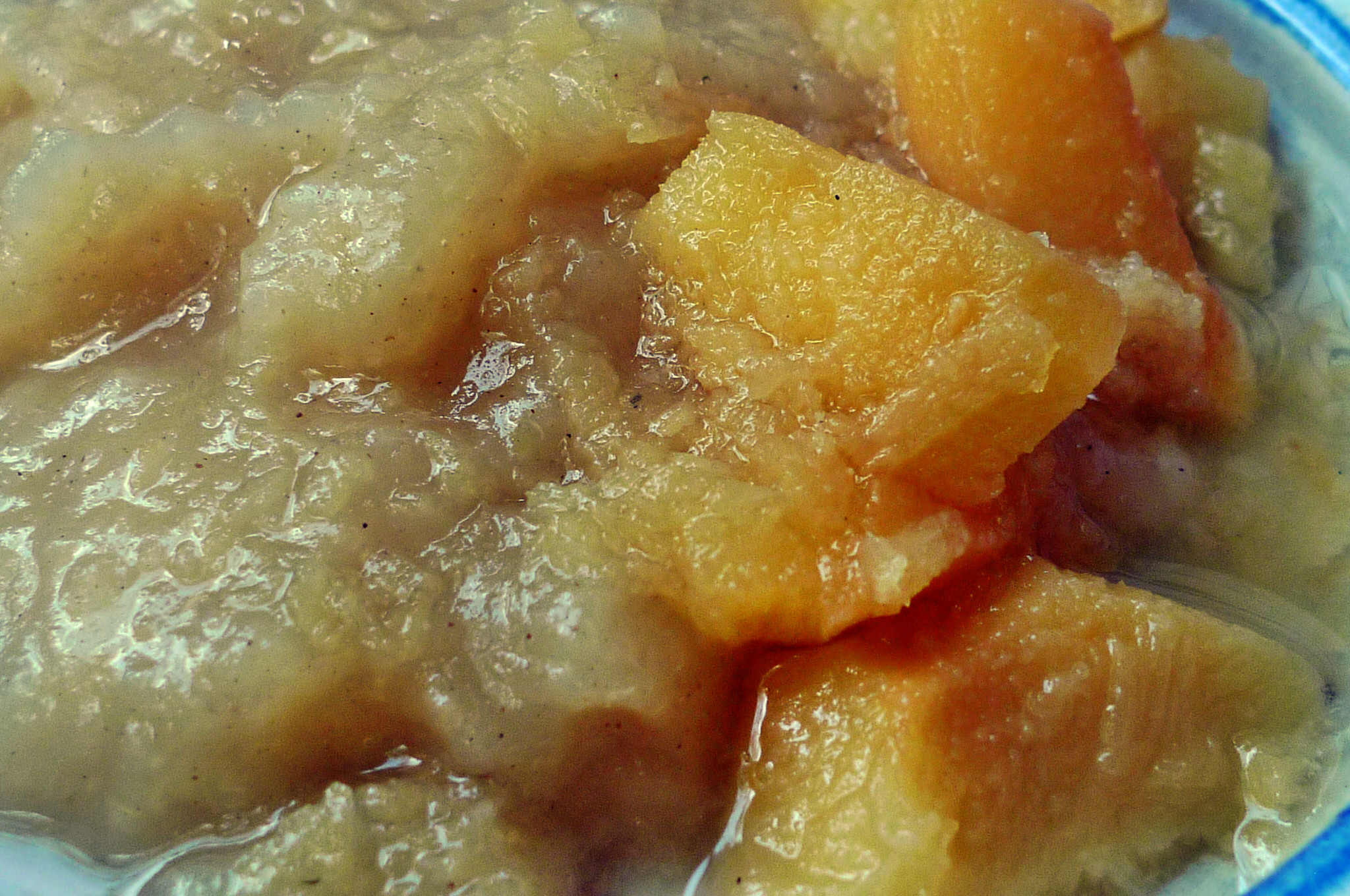 X-Quittenkompott-Apfel.1.10.14   (3)
