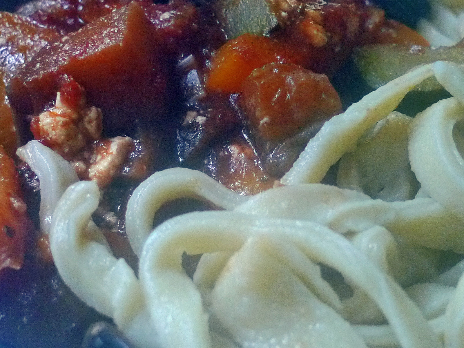 Ratatouille mit selbstgemachte Nudeln - 10.11.14 (35)