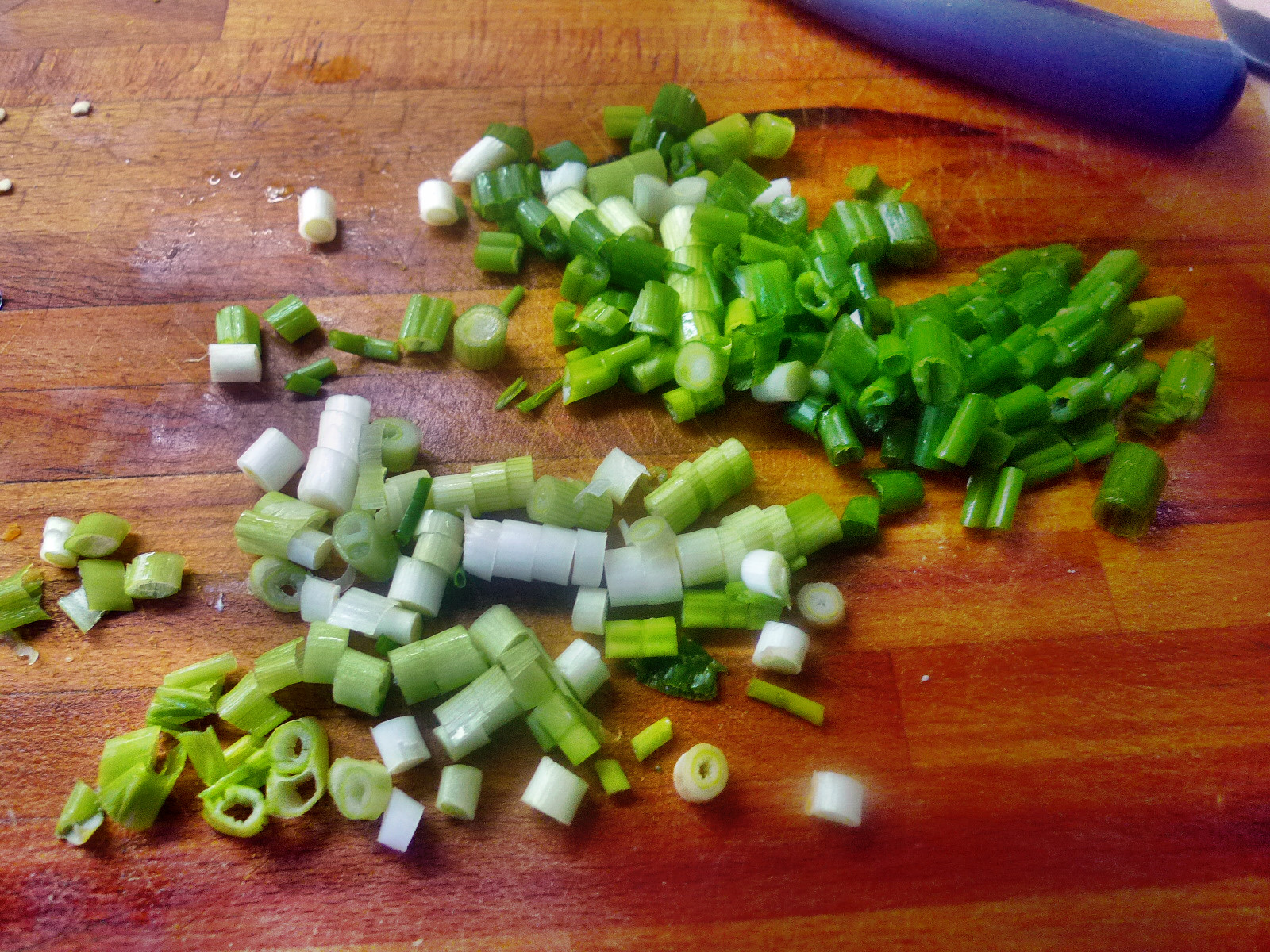 Ratatouille mit selbstgemachte Nudeln - 10.11.14 (8b)