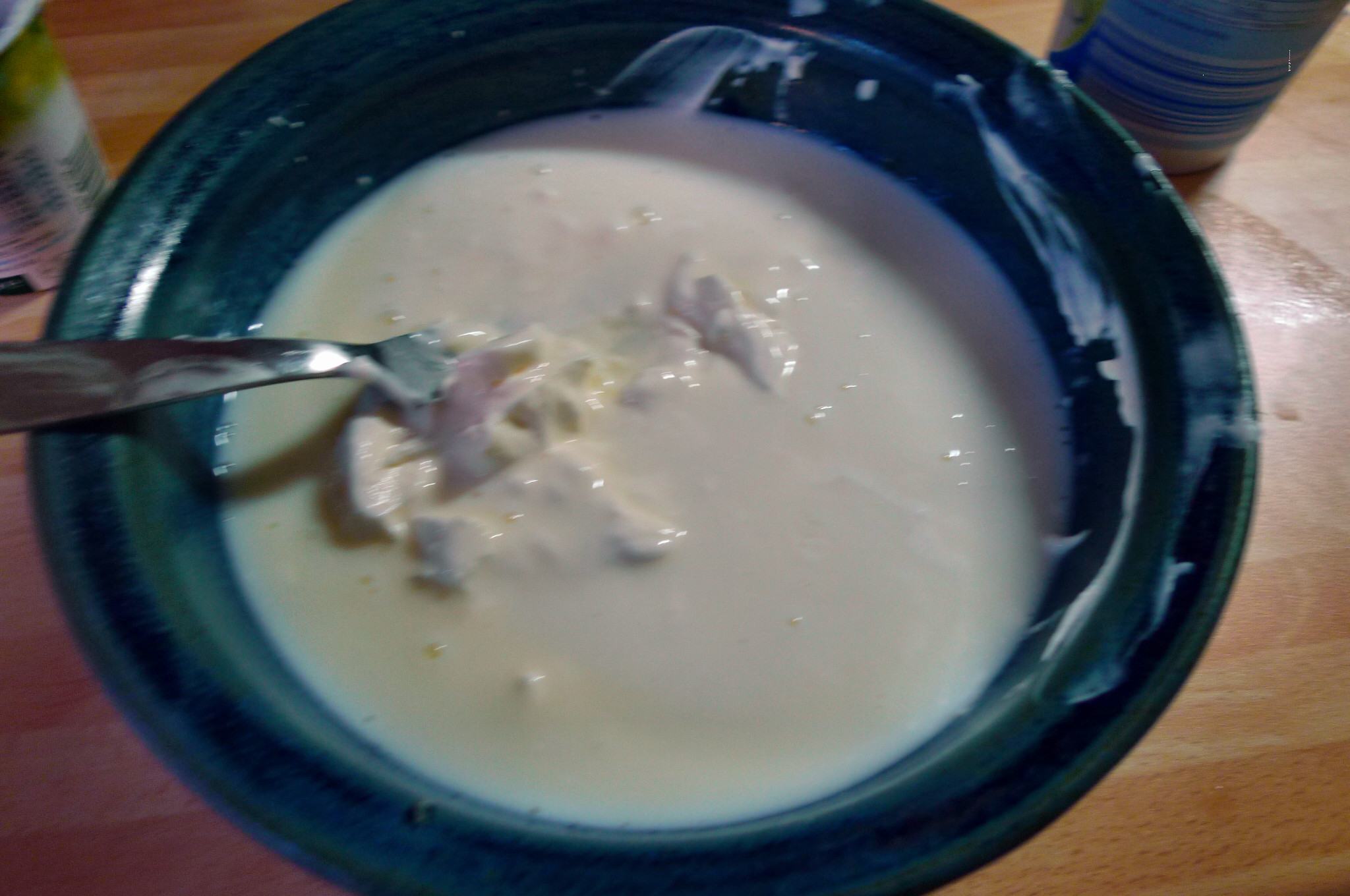 Spinat-Joghurtsuppe-4.1.15 (3)