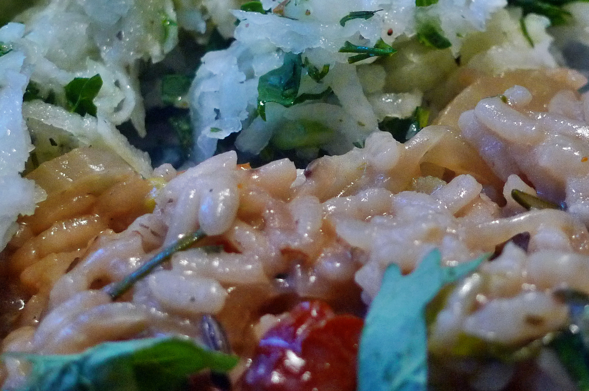 Fenchelrisotto,Kohlrabisalat -3.3.15 (13)