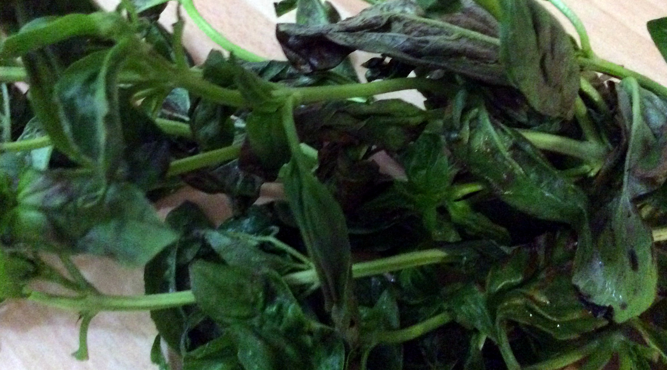 Gurkengemüse ,Amaranth -19.8.15 (4)