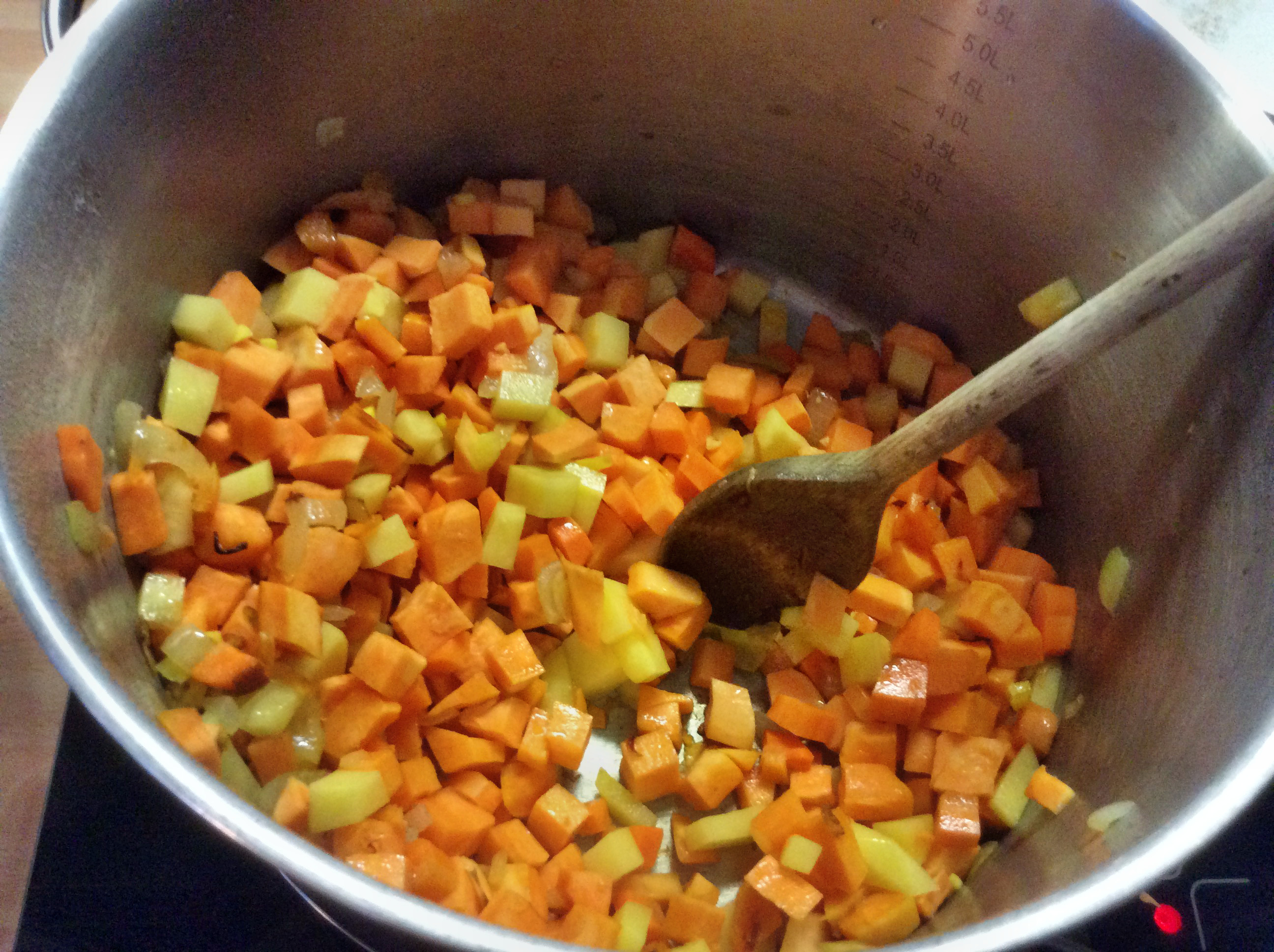 Süßkartoffelsuppe - 25.11.15   (7)