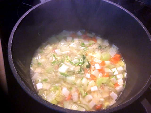 18.4.16  -  Gemüsesuppe ,selbstgemachte Nudeln (4)