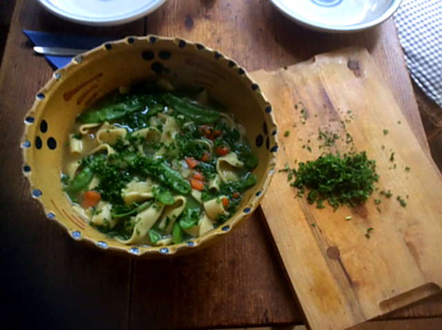 18.4.16  -  Gemüsesuppe ,selbstgemachte Nudeln (7)