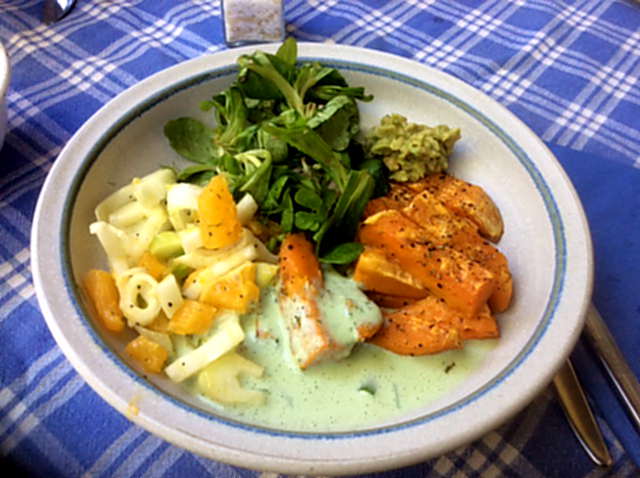6.5.16 - Süßkartoffel,Fenchelsalat,Feldsalat,Guacamole,Joghurtdip (3)