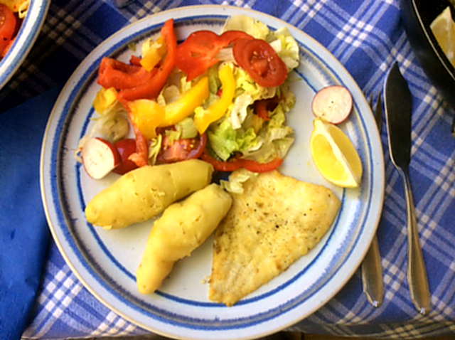 7.5.16 - Schollenfilet,Salaat,Kartoffel,pescetarisch (1)