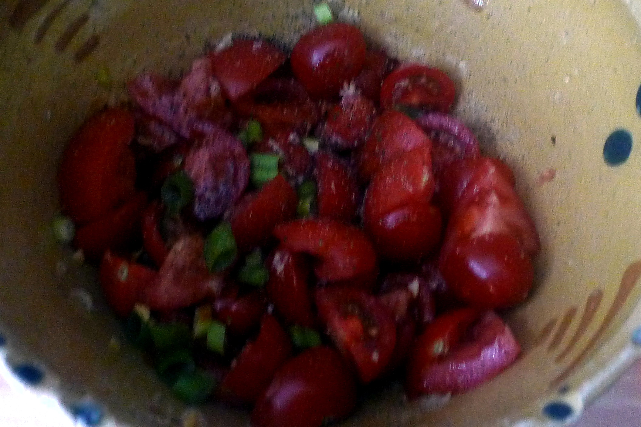 27.6.16 - Panzanella,Brotsalat,Tomatenbrotsalat,vegan (5)