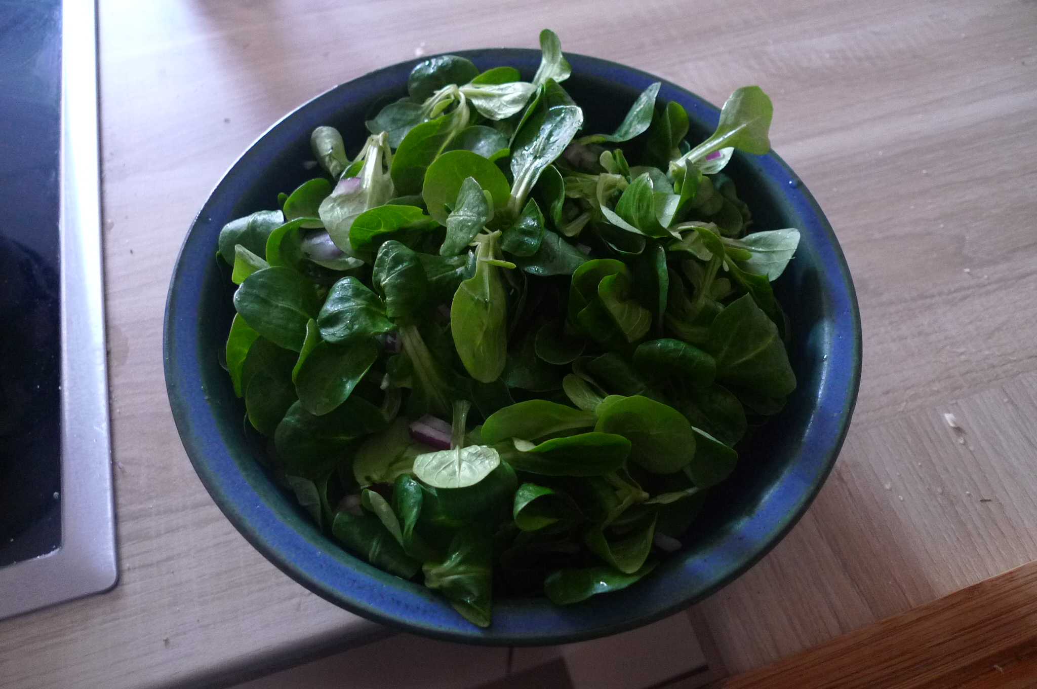 matjestatarwalldorfsalatfeldsalat-12
