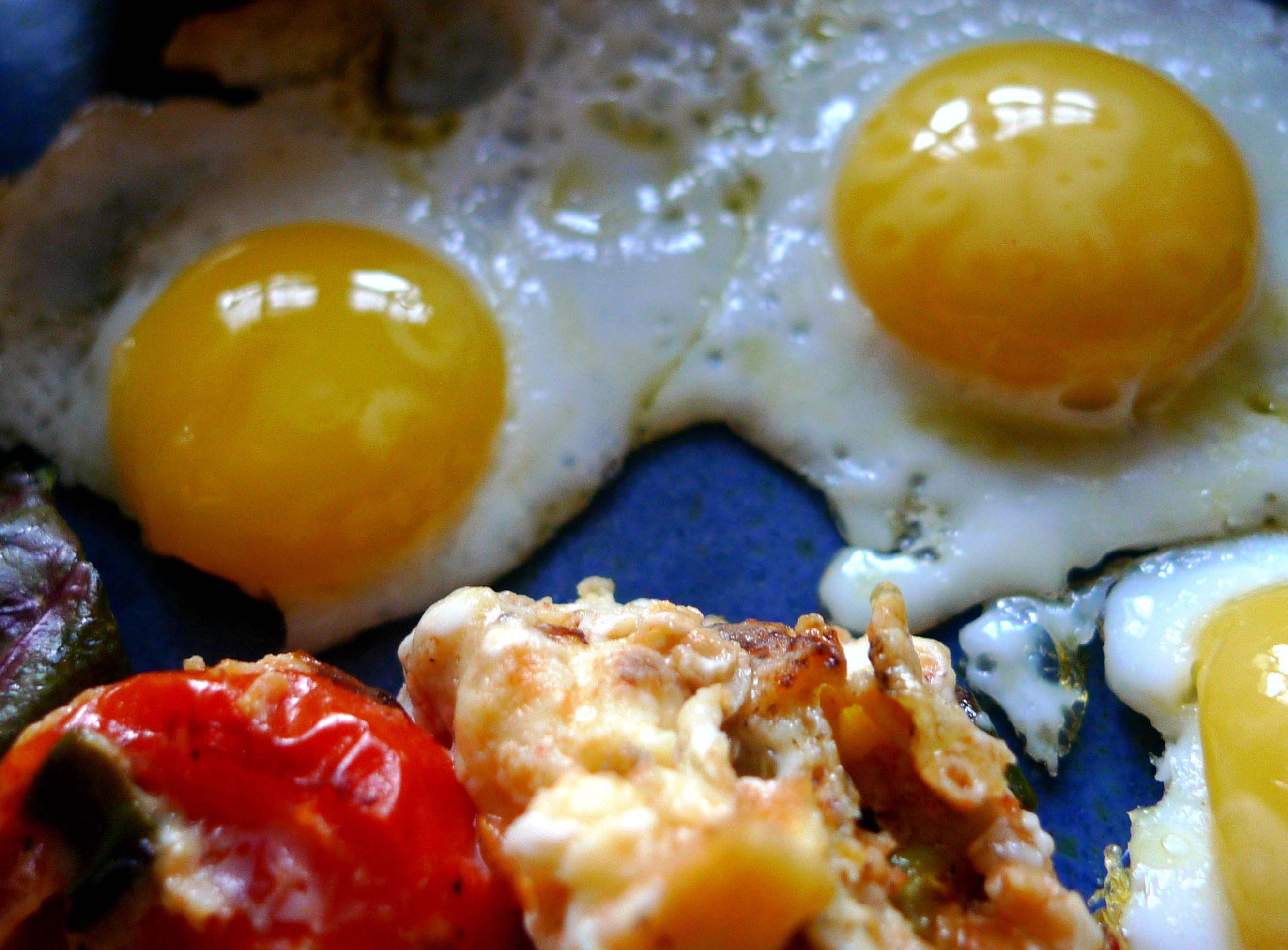 wachtel-spiegeleiruhreipellkartoffelsalat-8