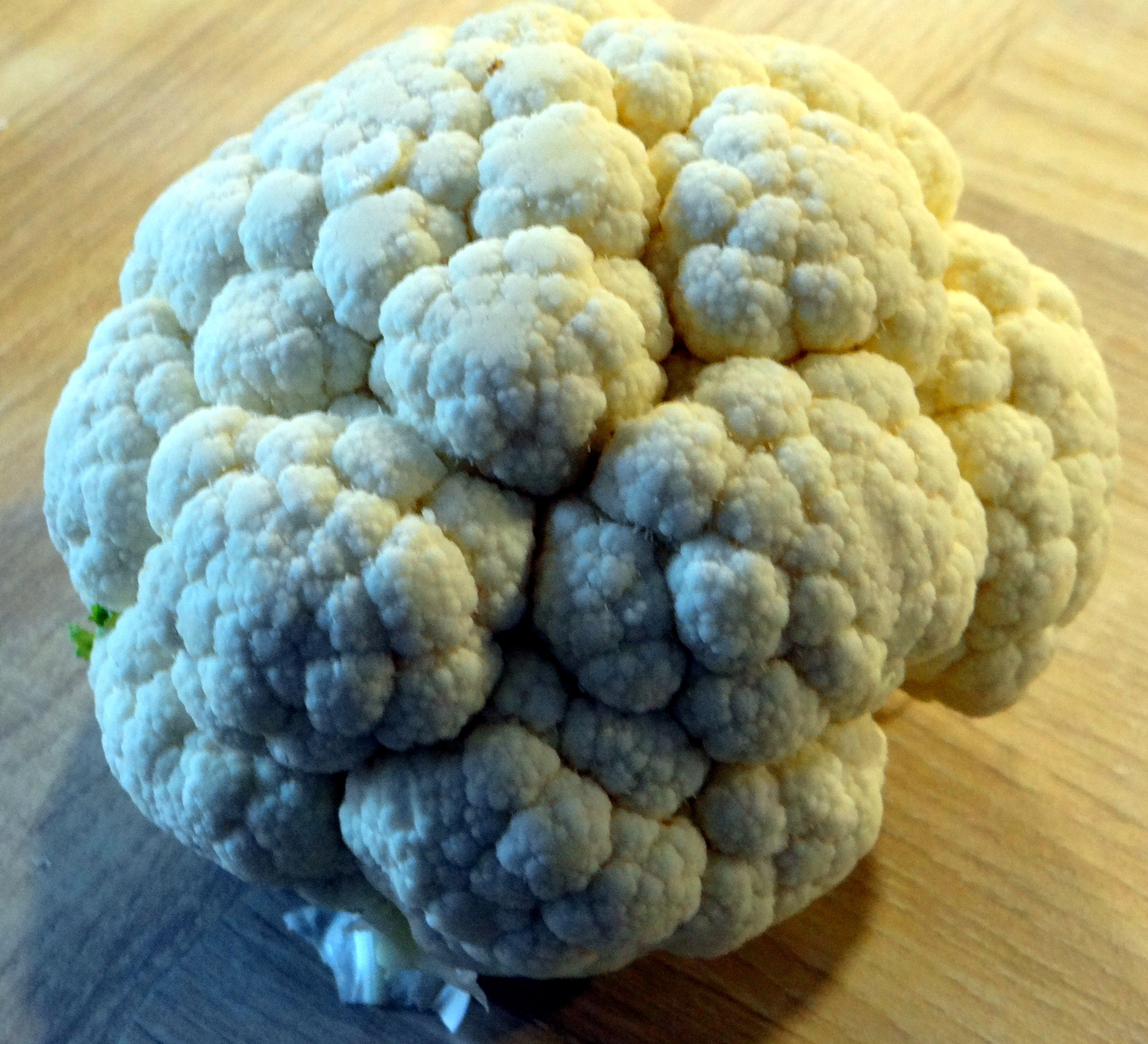 pilz-nudel-pfanneblumenkohlsalat-4