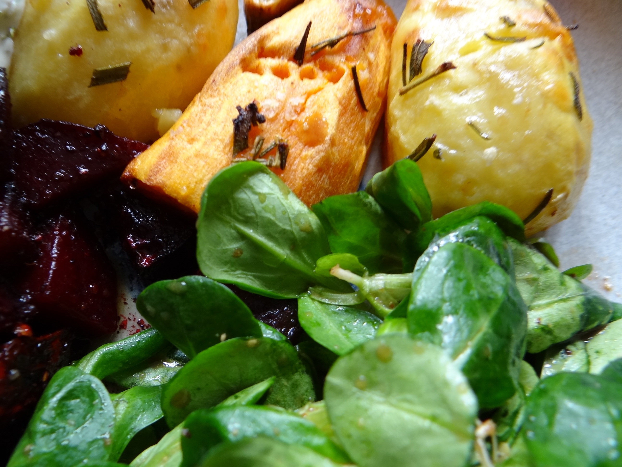 rote-beetegemuseofenkartoffelquark-dipfeldsalat-20