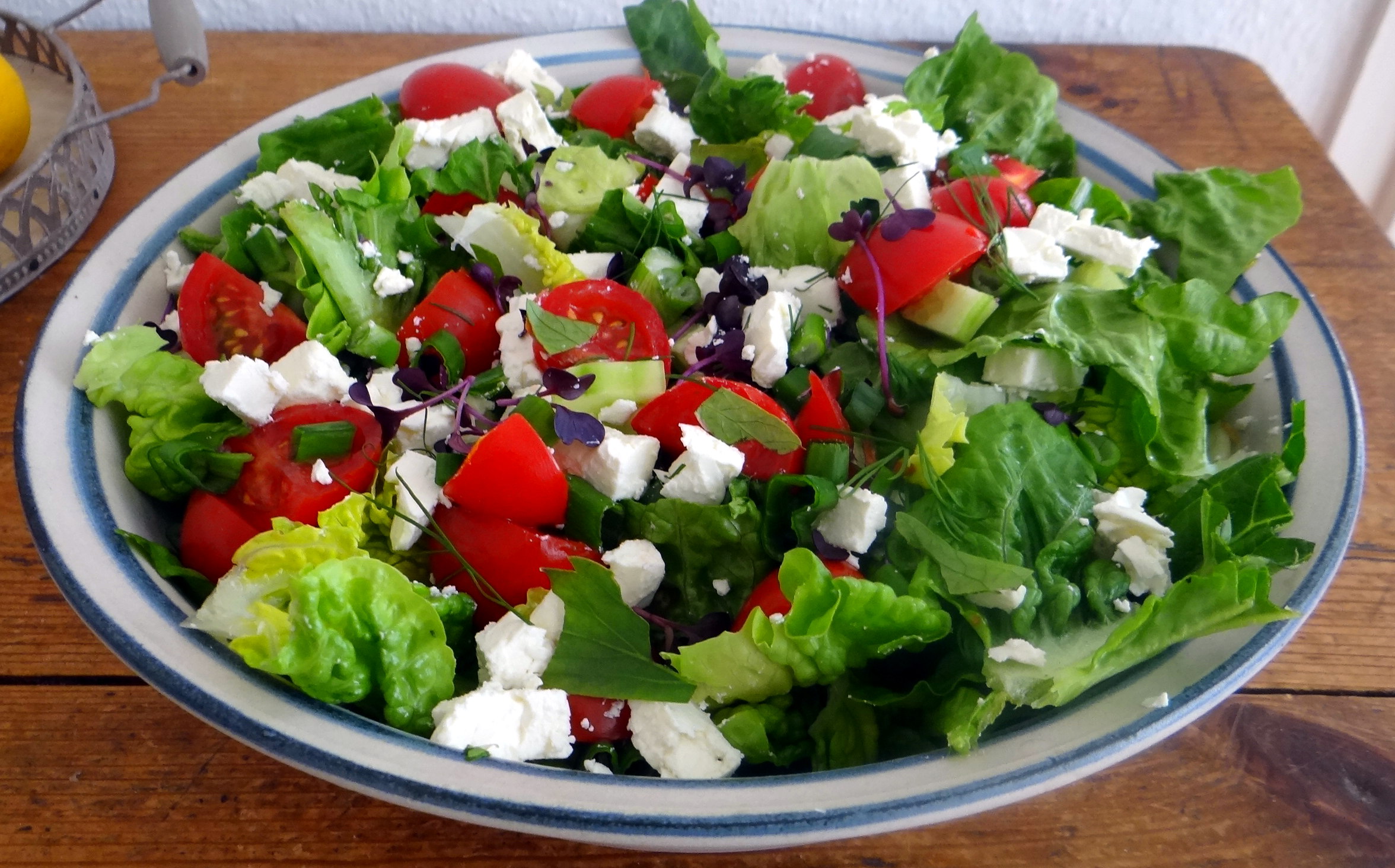 Salat,Karotten,Bratkartoffeln,Spiegelei (10)