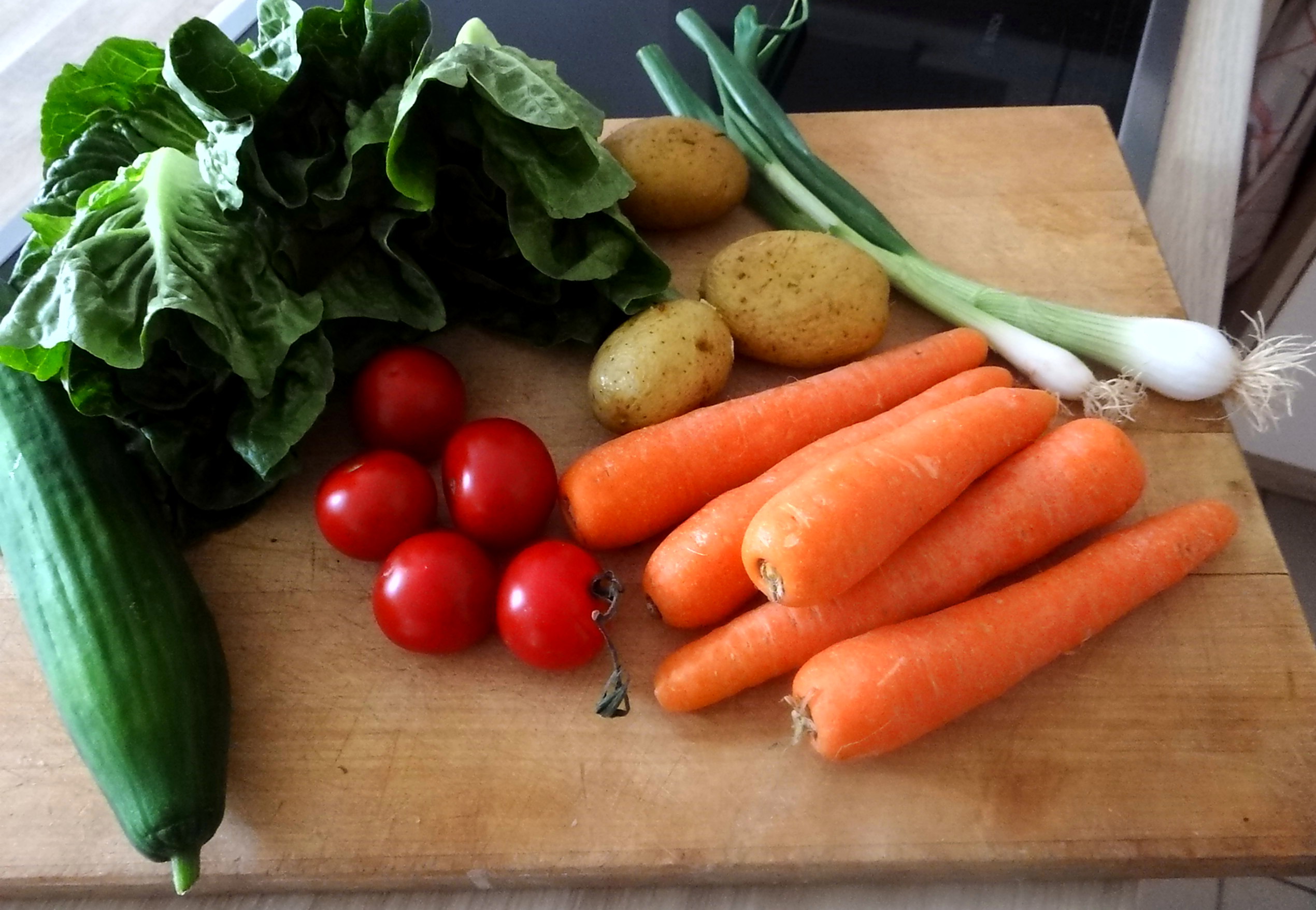 Salat,Karotten,Bratkartoffeln,Spiegelei (7)