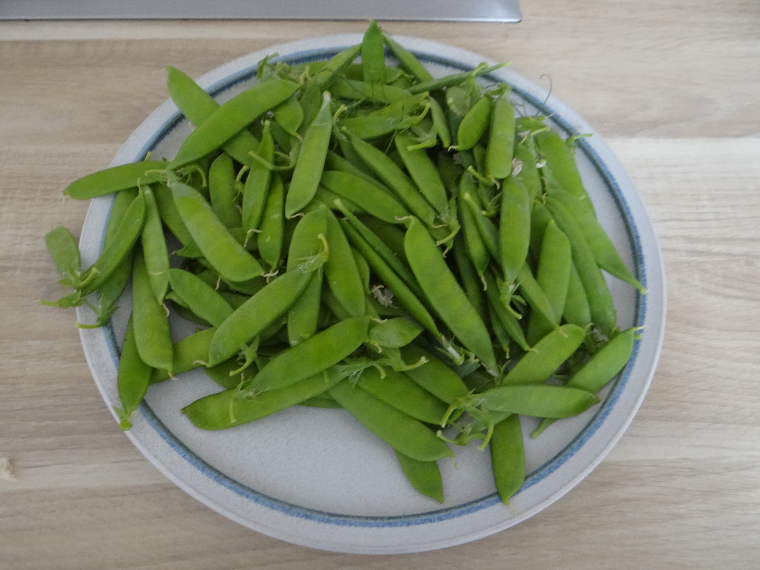 Ofengemüse,Focaccia (19)