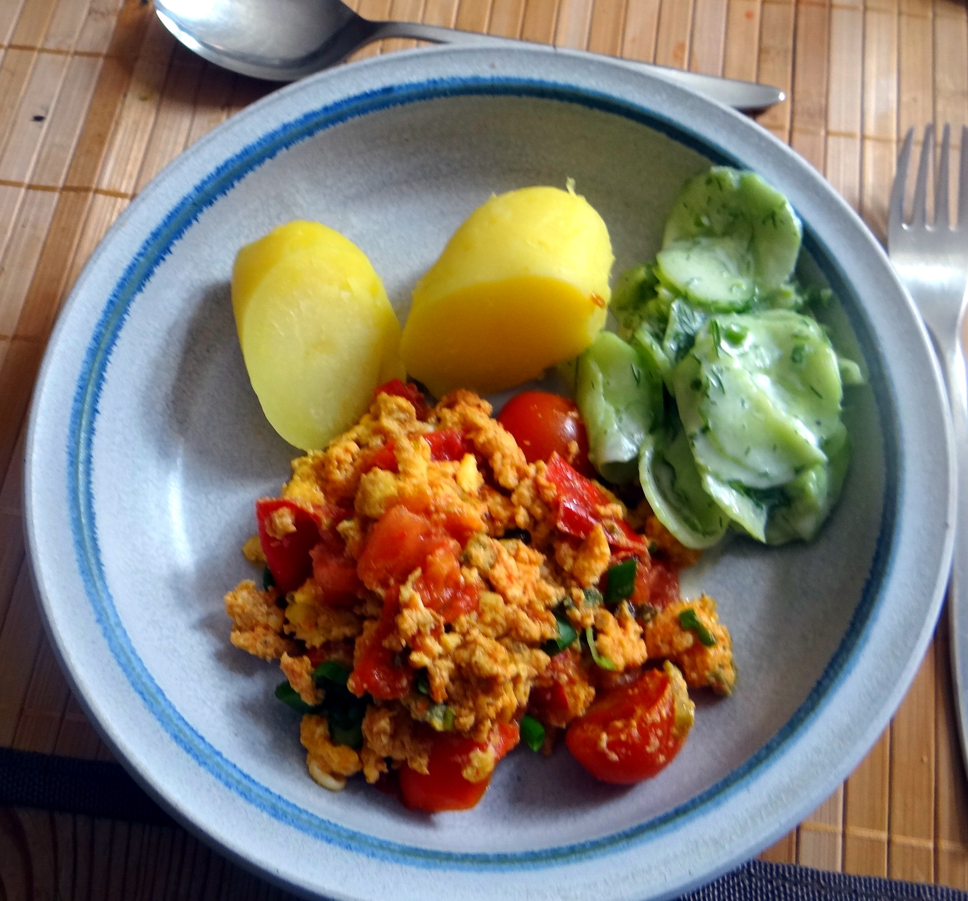 Rührei mit Tomaten,Pellkartoffeln,Gurkensalat,Erdbeeren,vegetarisch (14)
