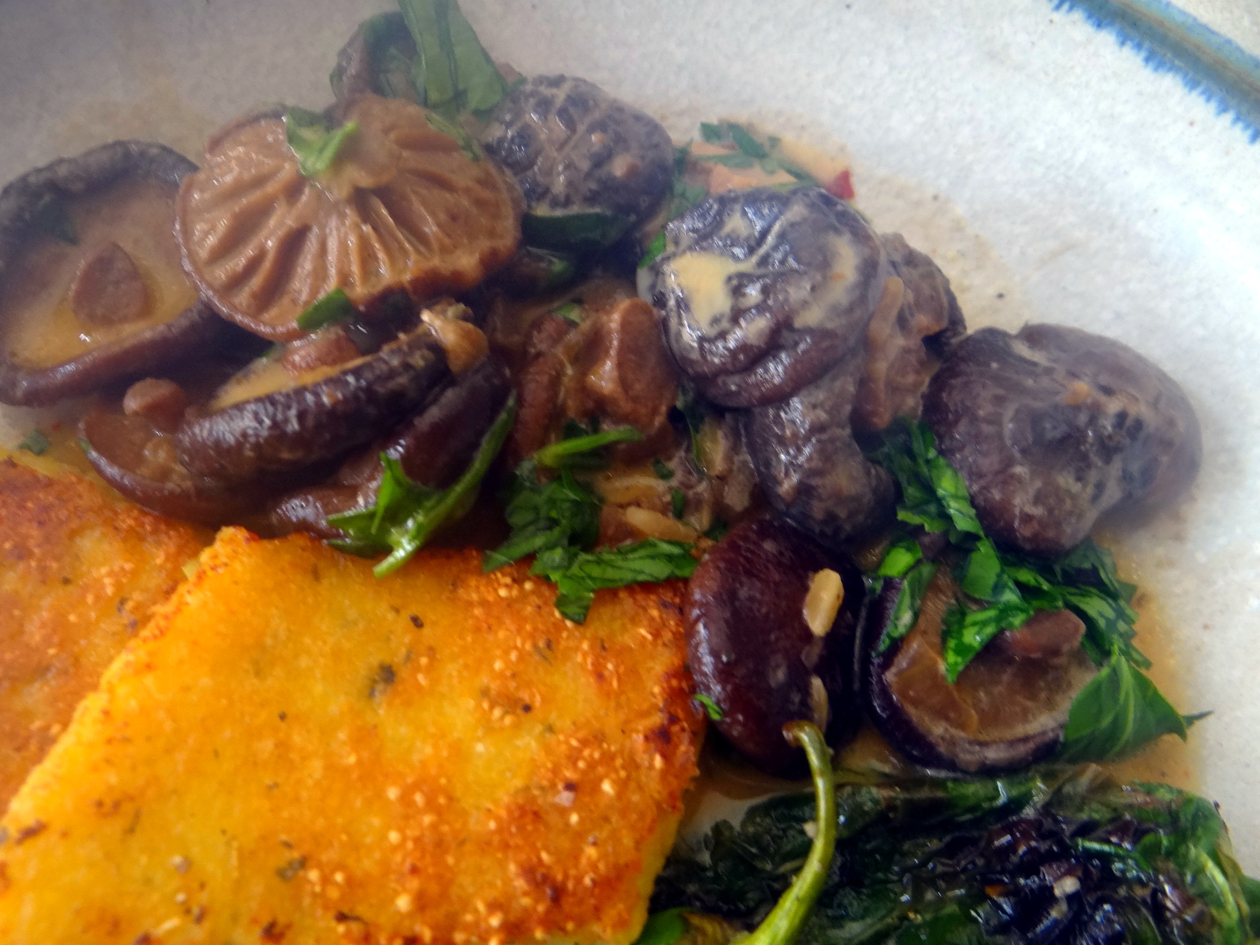 Shitake,Polenta,Pimientos,Salat, (3)
