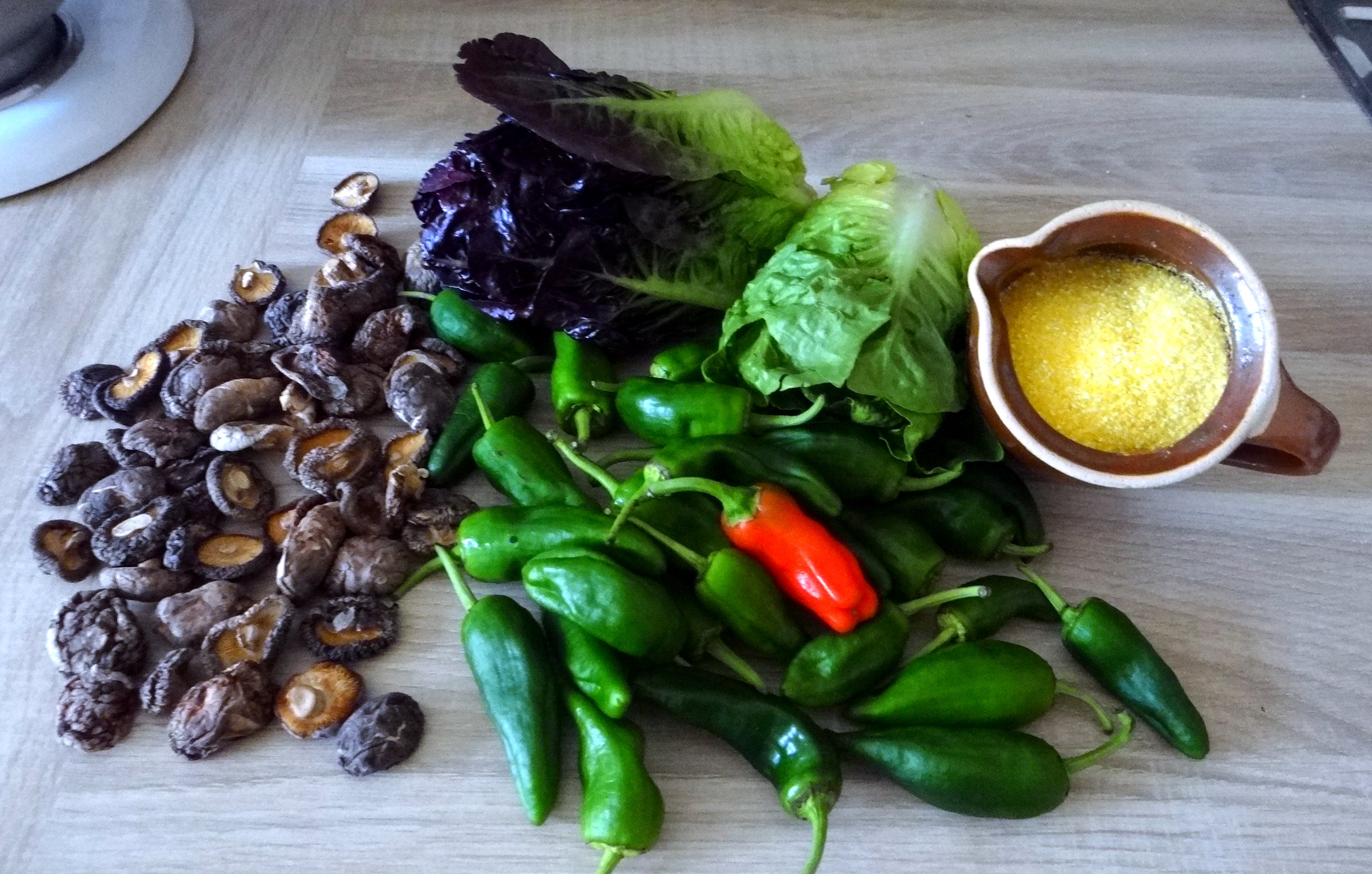 Shitake,Polenta,Pimientos,Salat, (5)