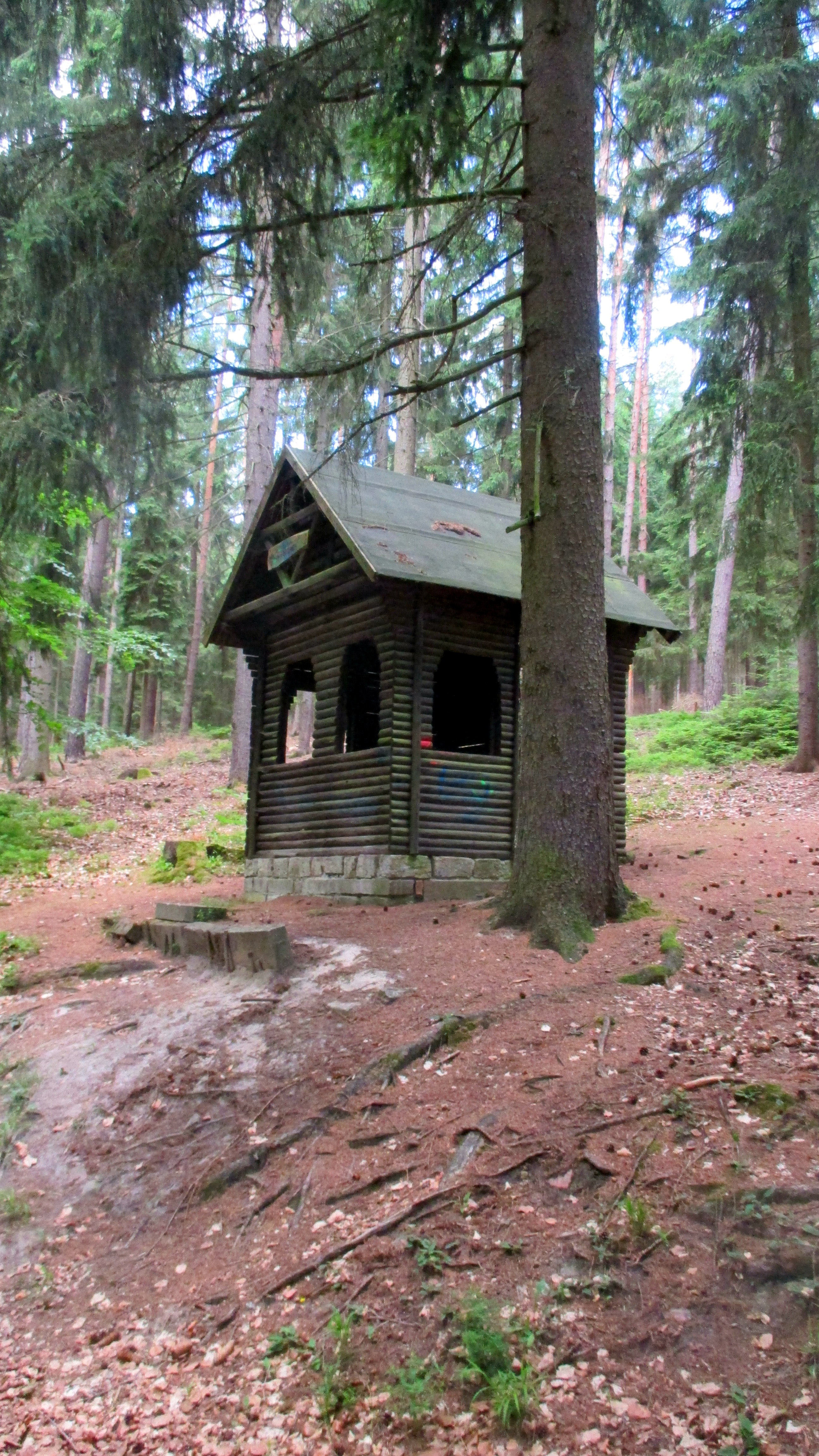 Wald ,Spaziergang,Sonntag,Vormittag (5)