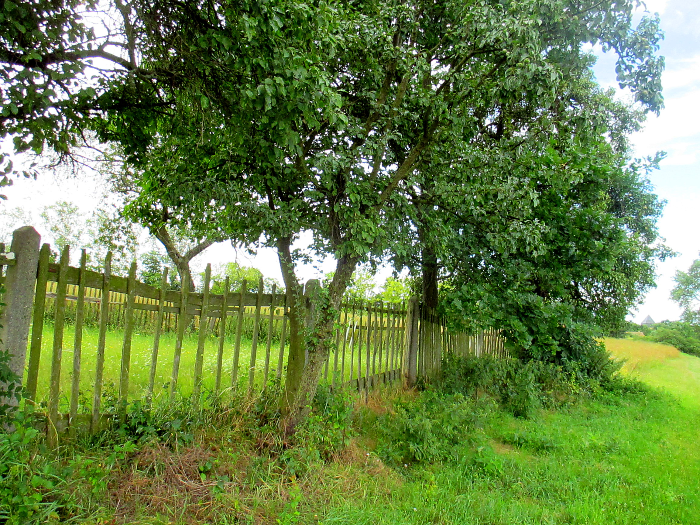 Feld und Flur und Spillinge (5)