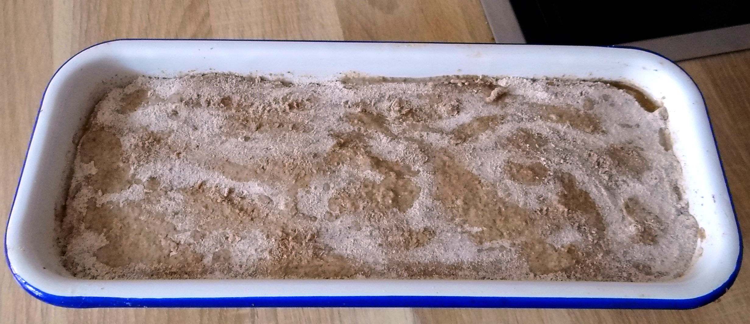 Roggen Vollkorn Brot (2)