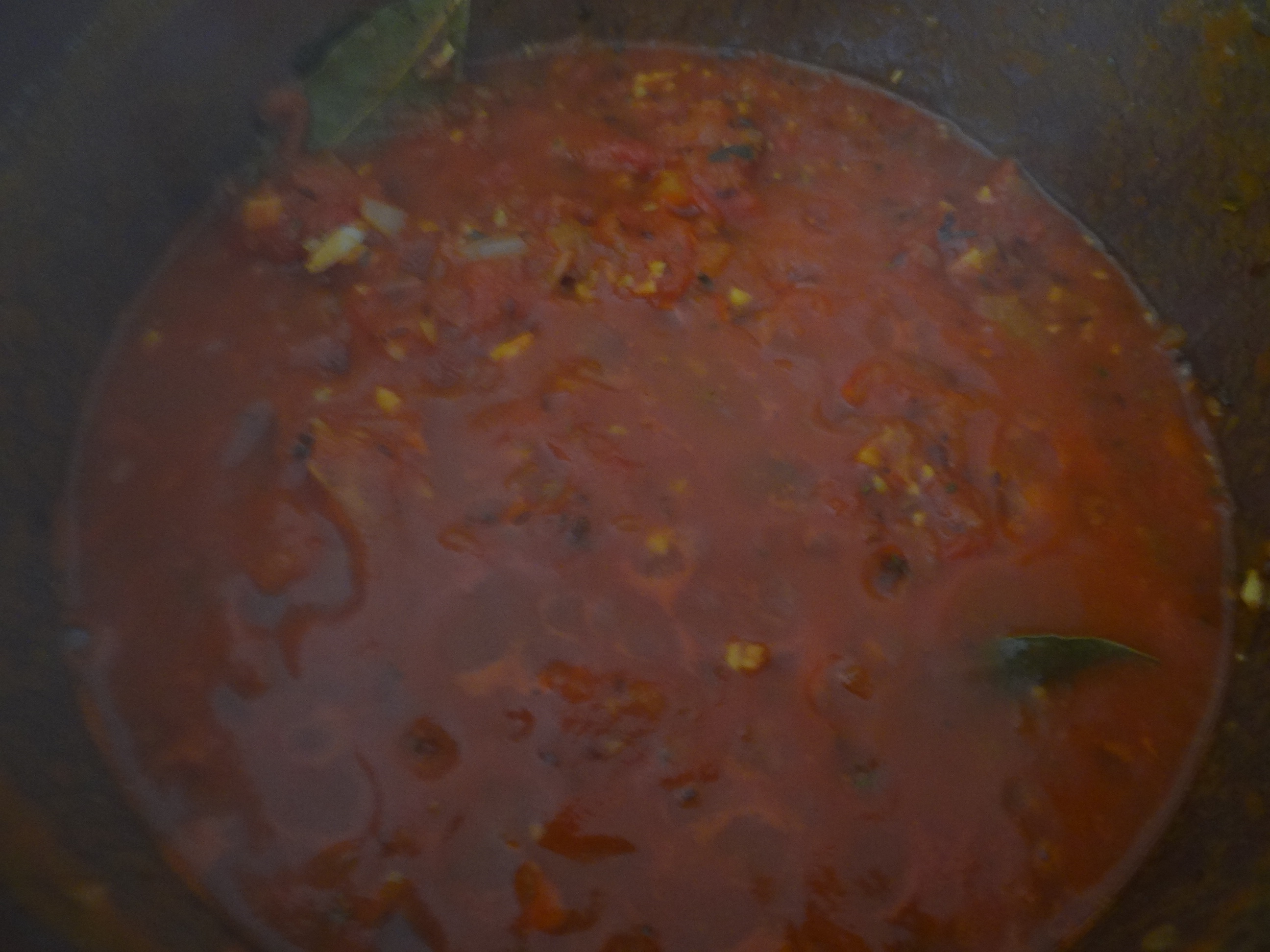 Gebratene Kloßscheiben mit Tomatensauce,Salate (18)