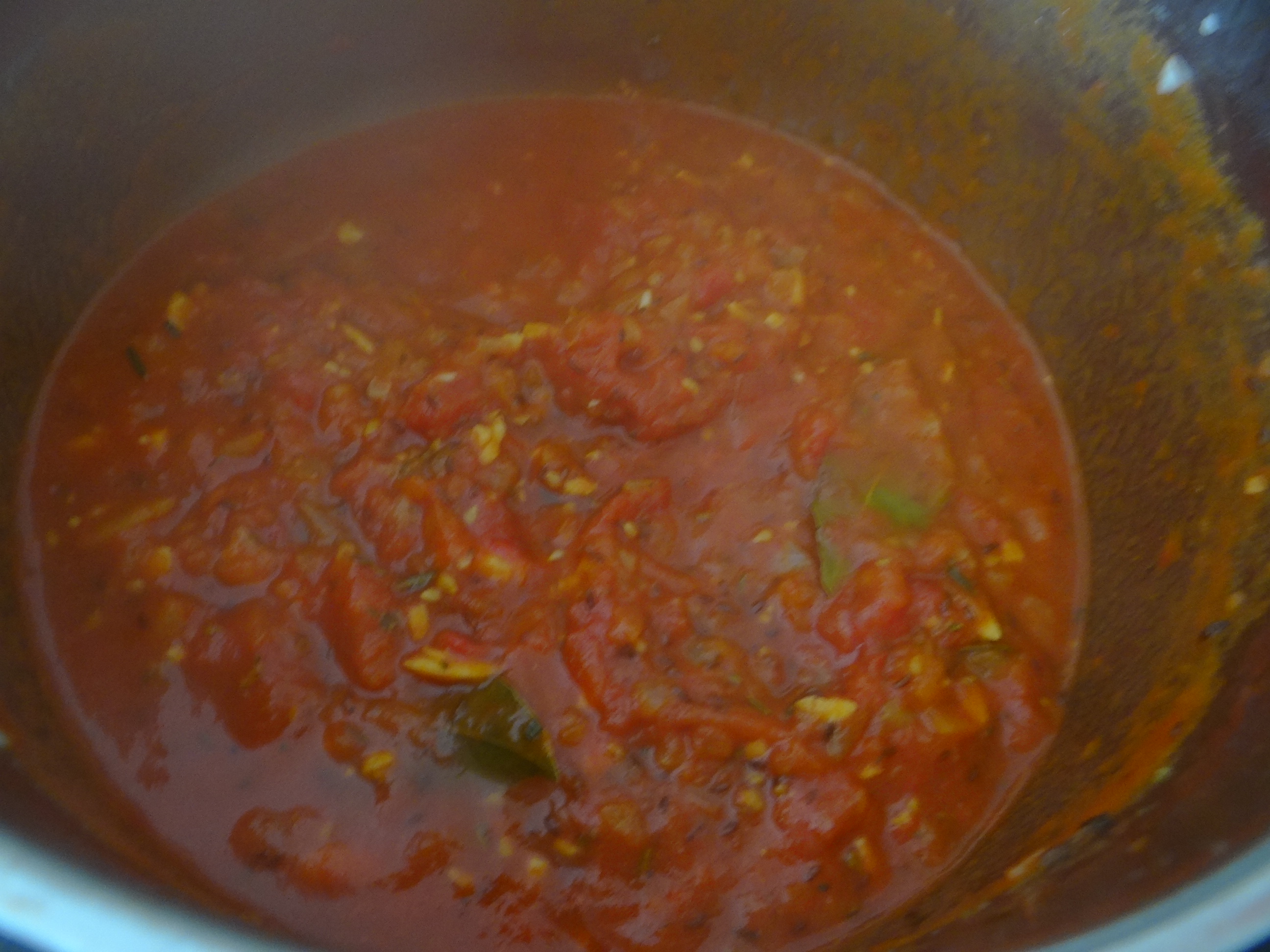 Gebratene Kloßscheiben mit Tomatensauce,Salate (19)