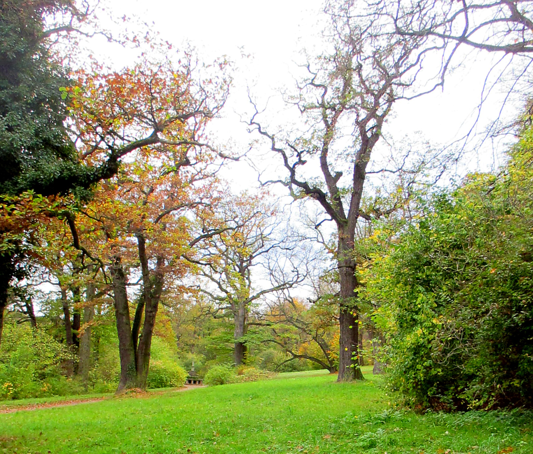Belvedere im Herbst (11)