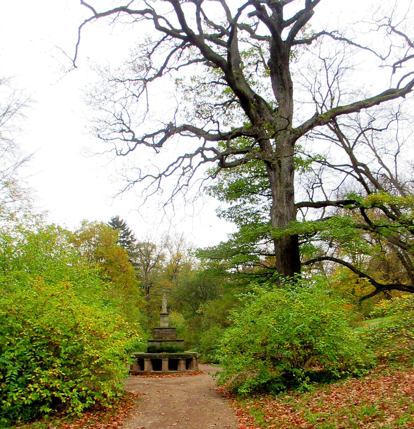 Belvedere im Herbst (13)