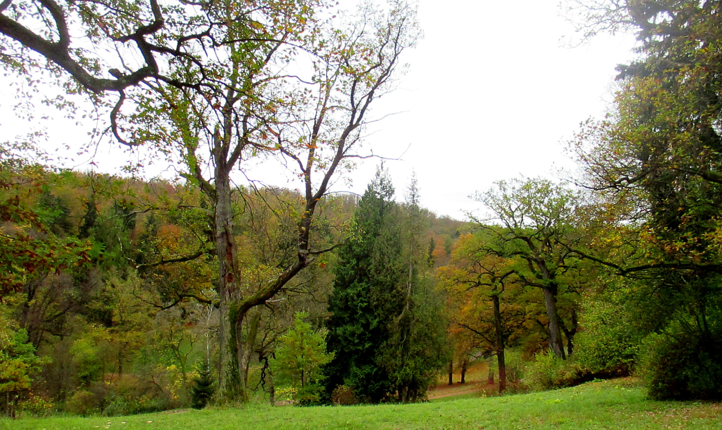 Belvedere im Herbst (15)