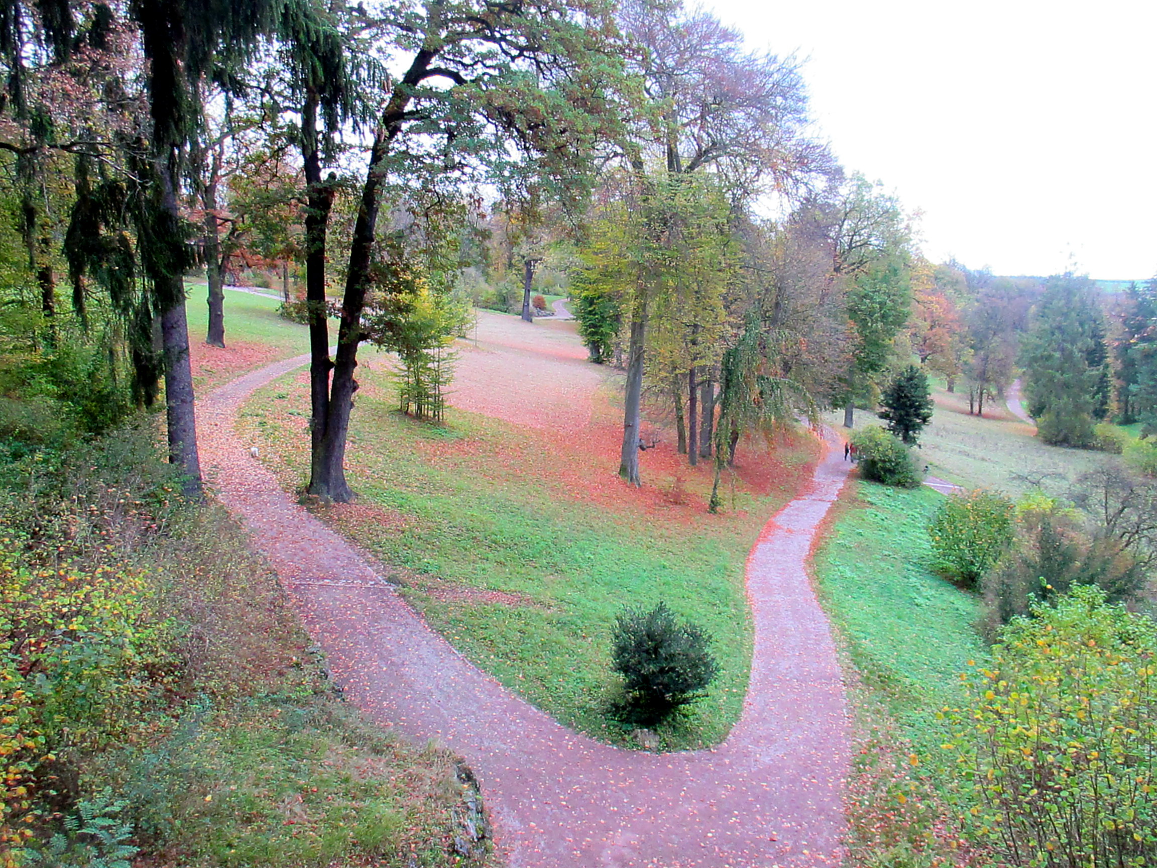 Belvedere im Herbst (28)