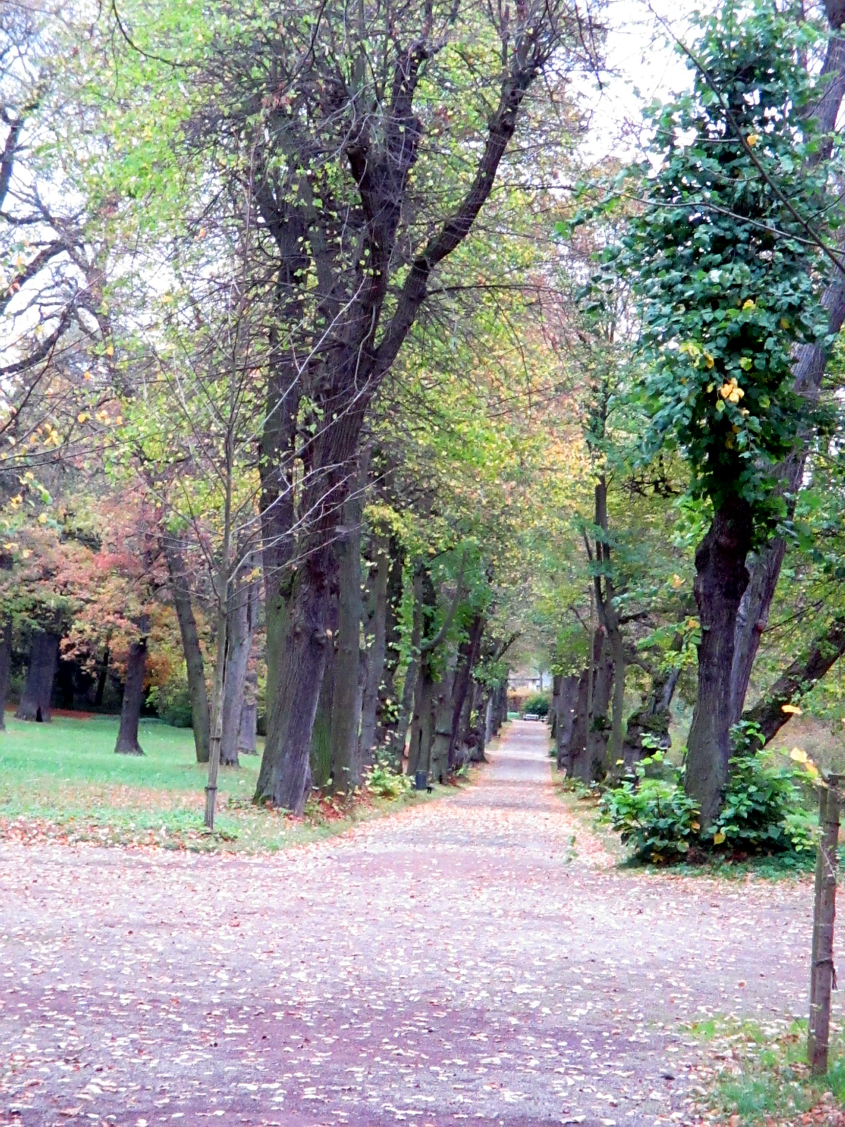 Belvedere im Herbst (29)