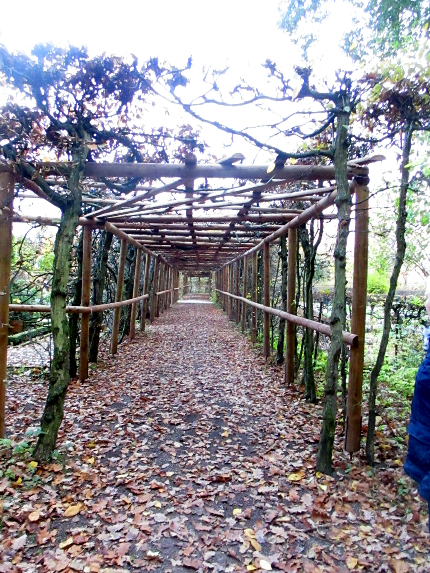 Belvedere im Herbst (35)