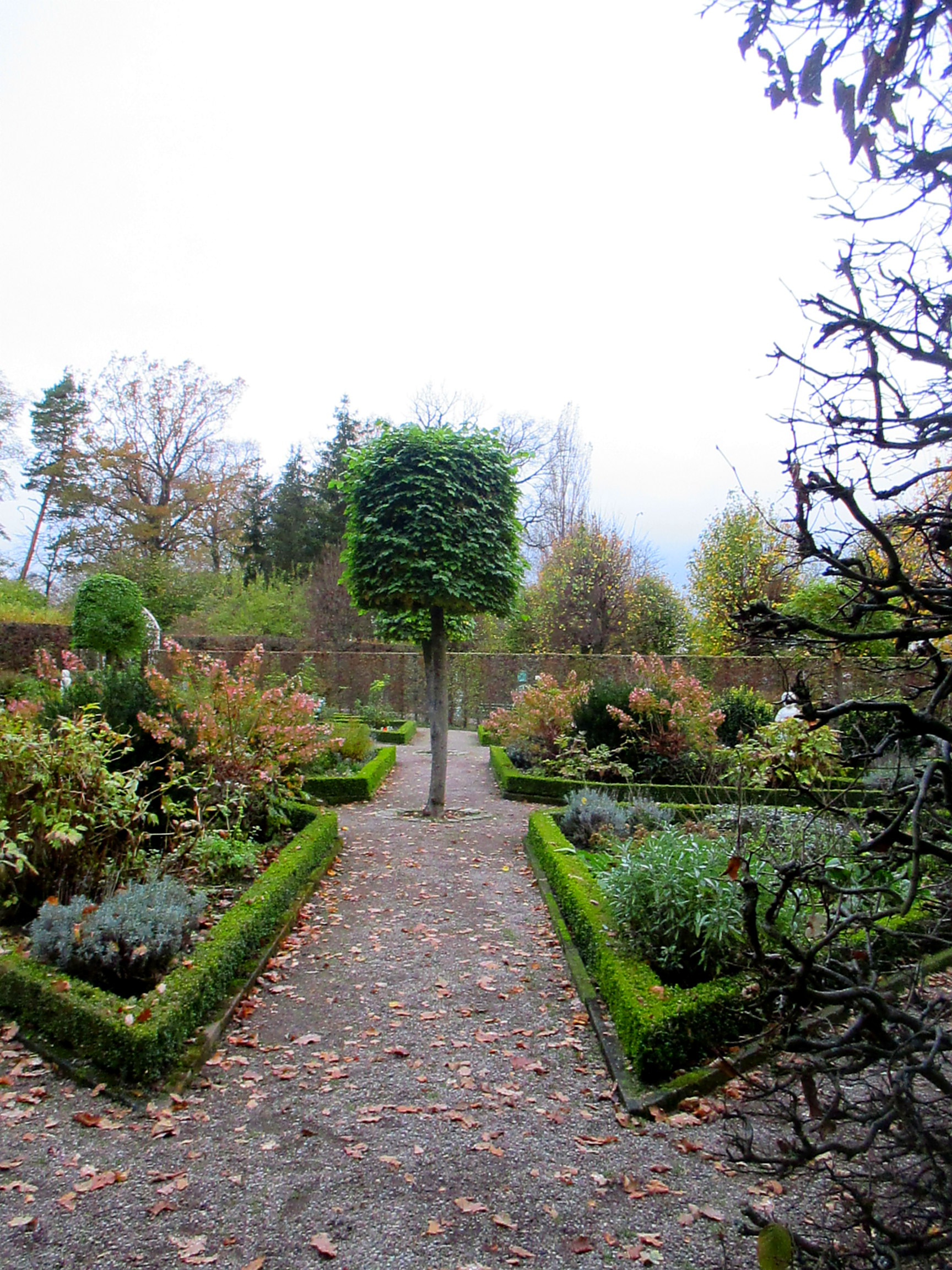 Belvedere im Herbst (36)