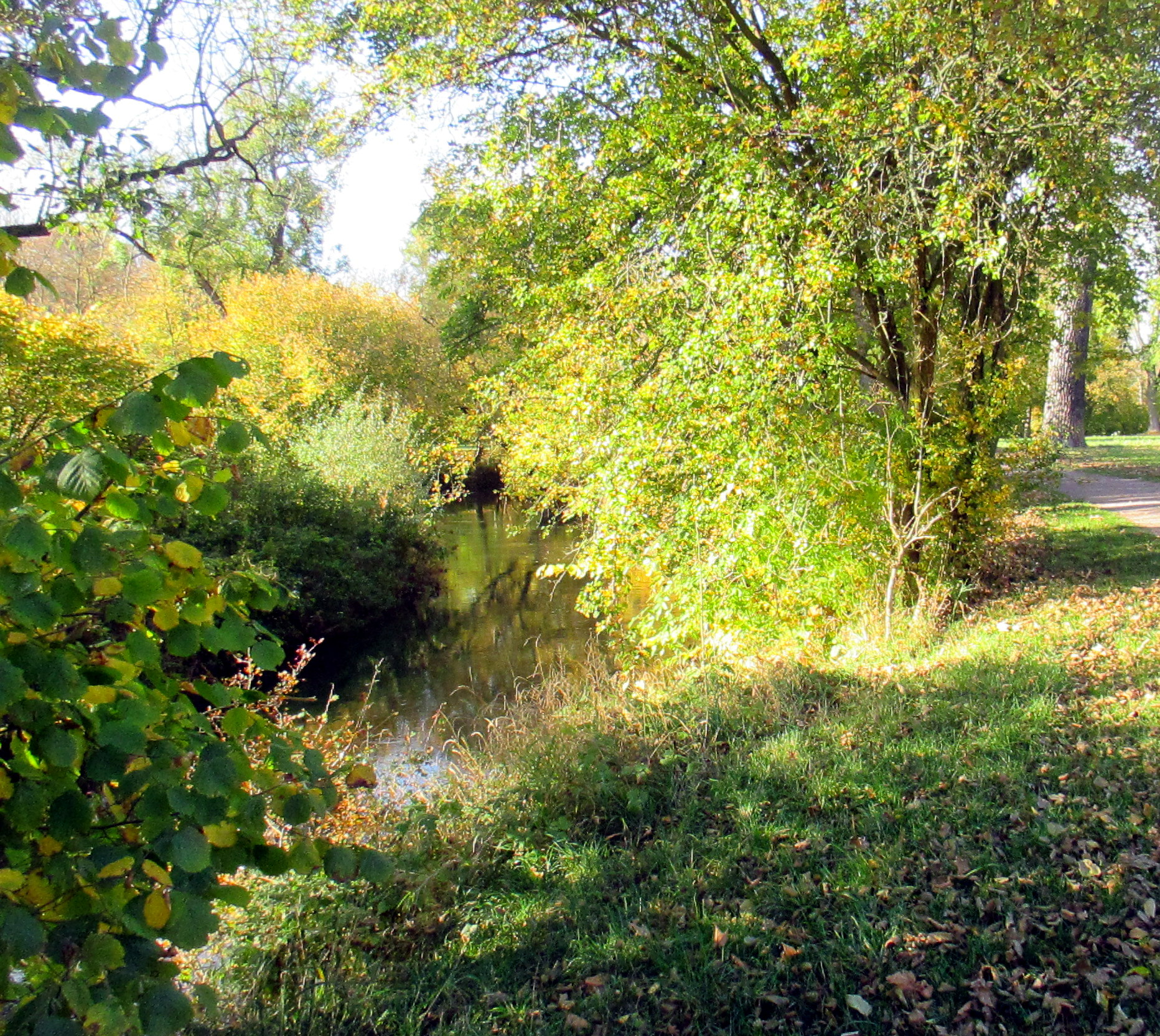 Goethepark (10)