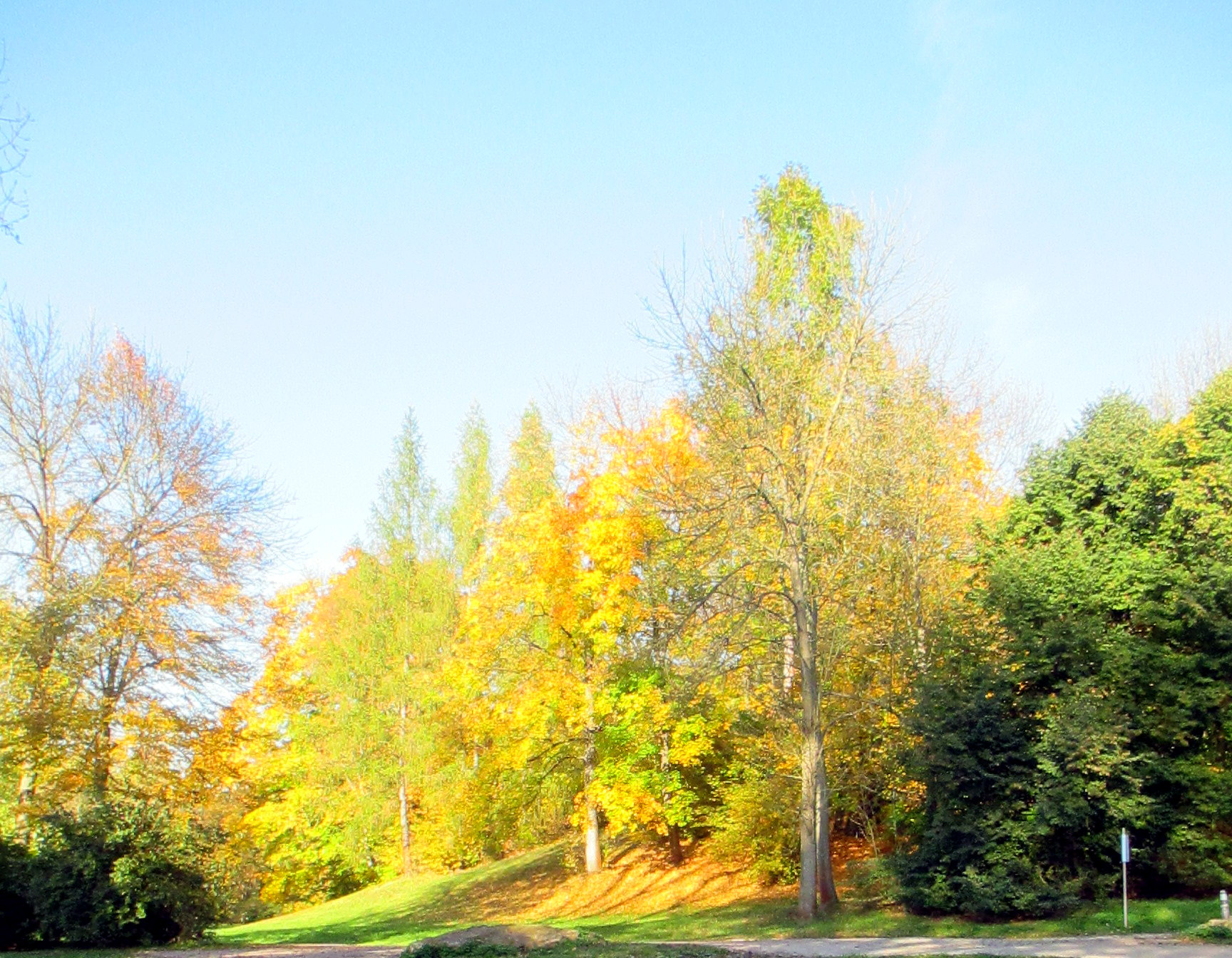 Goethepark (11)